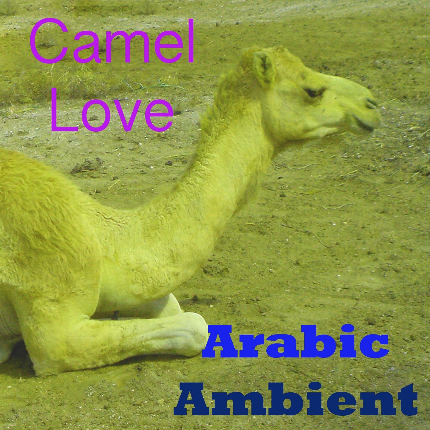 Постер альбома Camel Love