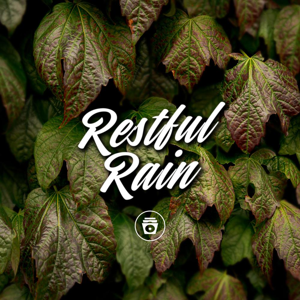 Постер альбома Restful Rain