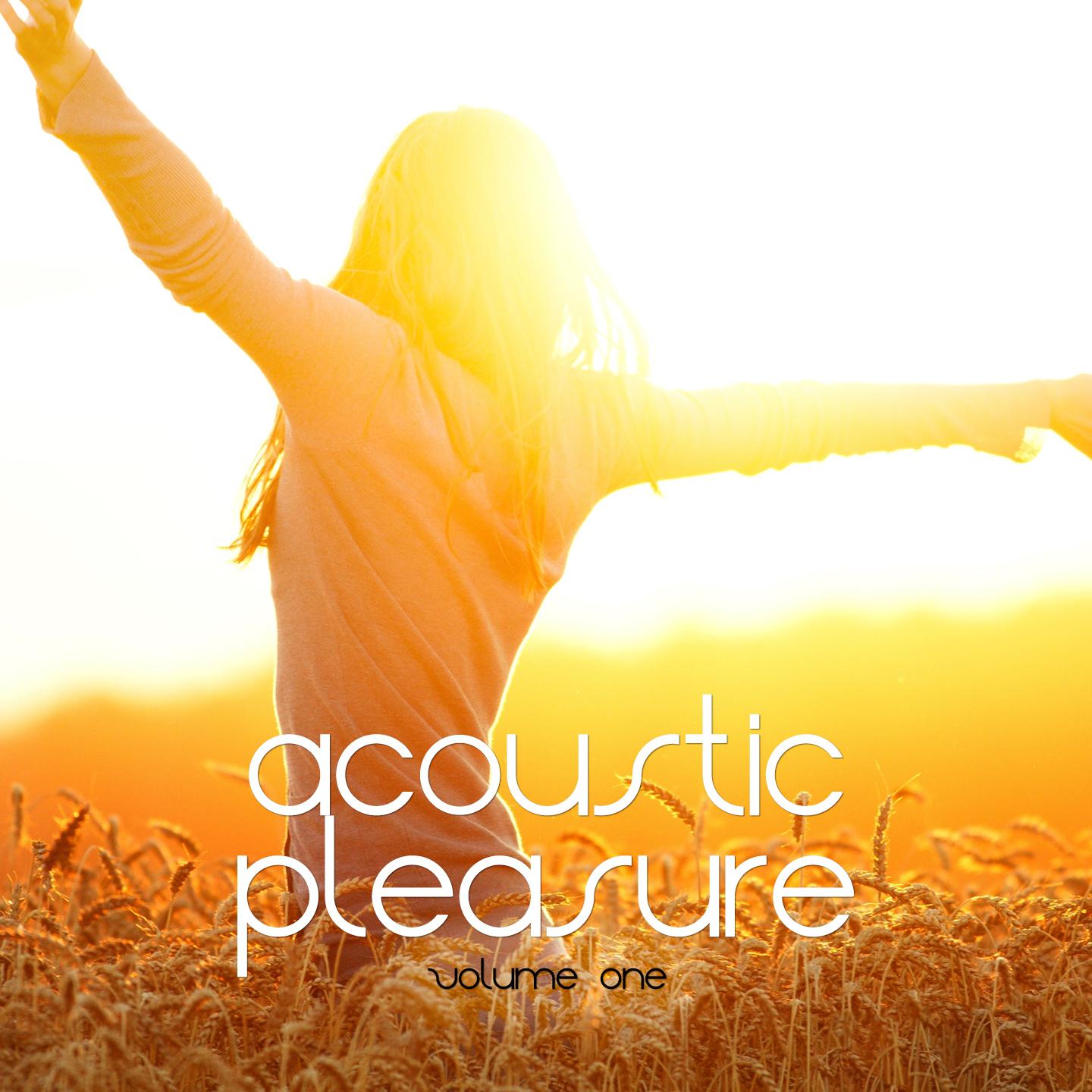 Постер альбома Acoustic Pleasure, Vol. 1