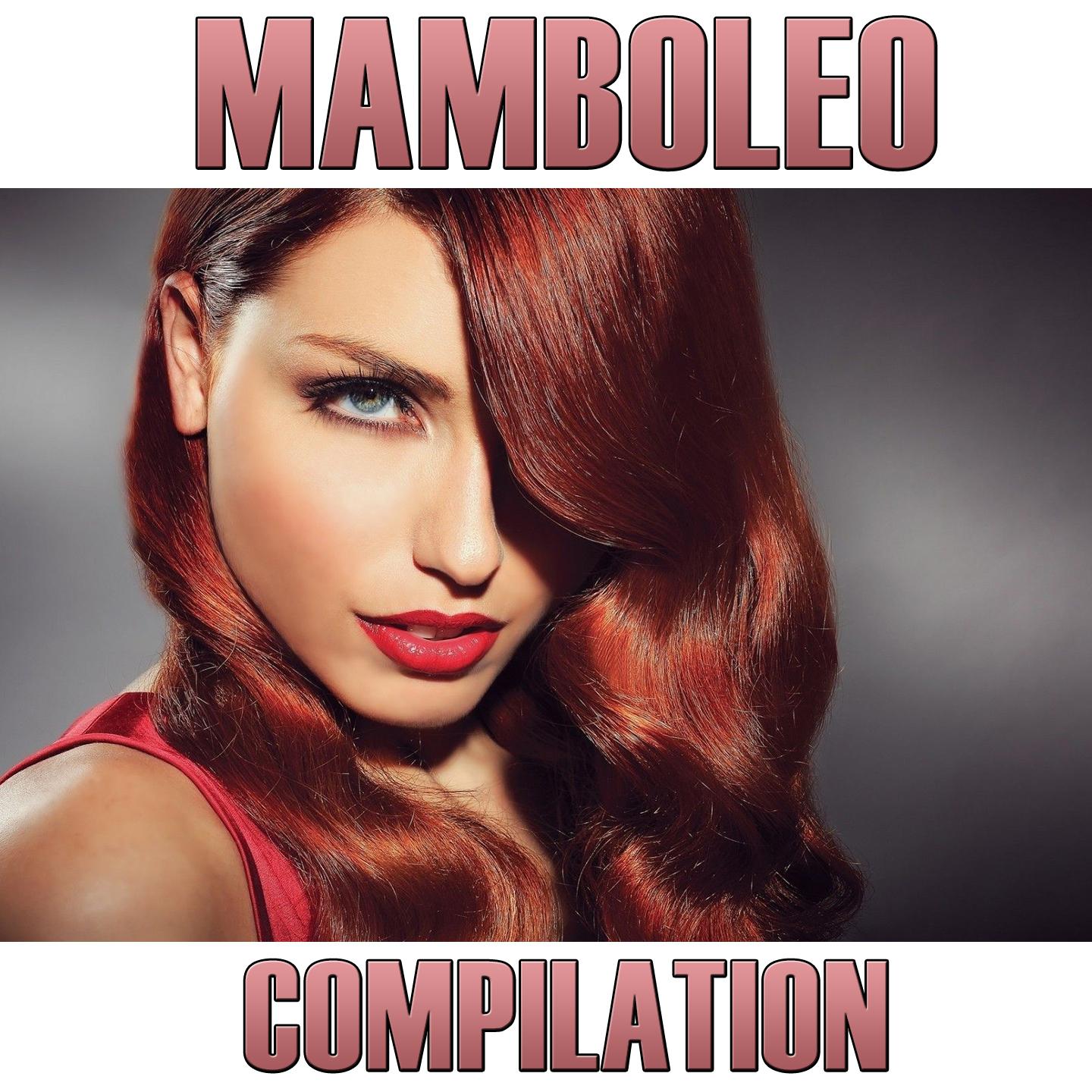 Постер альбома Mamboleo (Compilation)