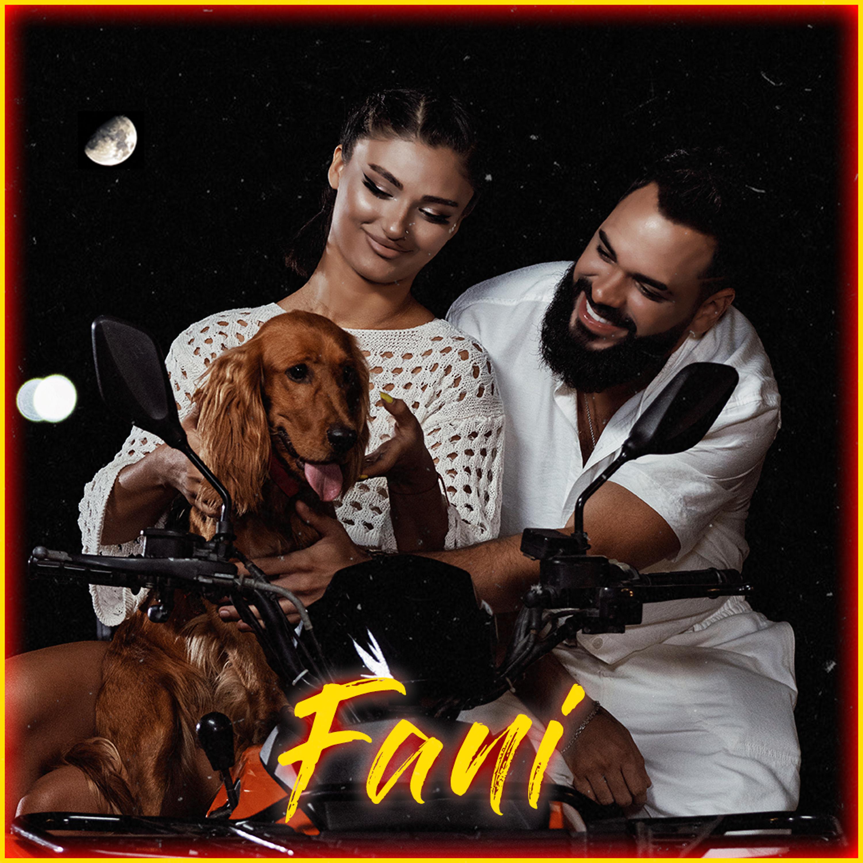 Постер альбома Fani
