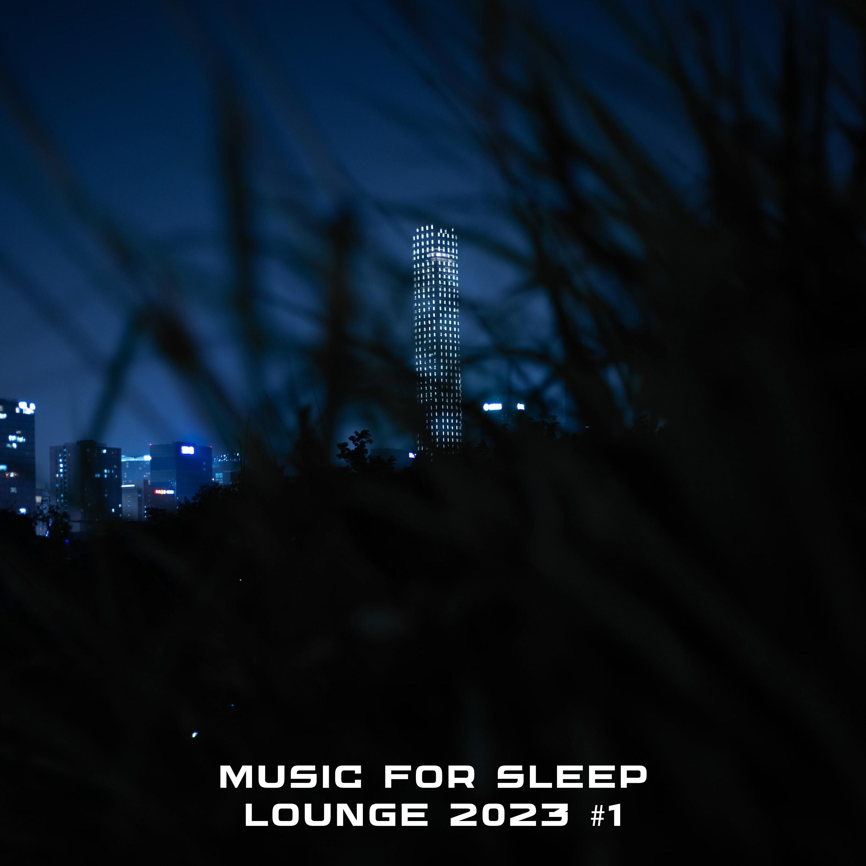 Постер альбома MUSIC FOR SLEEP. Lounge 2023