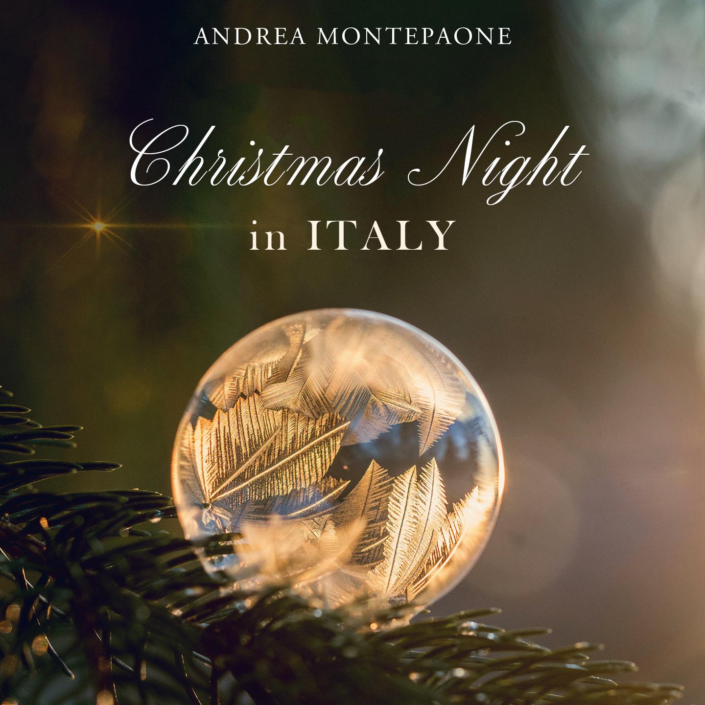 Постер альбома Christmas Night in Italy