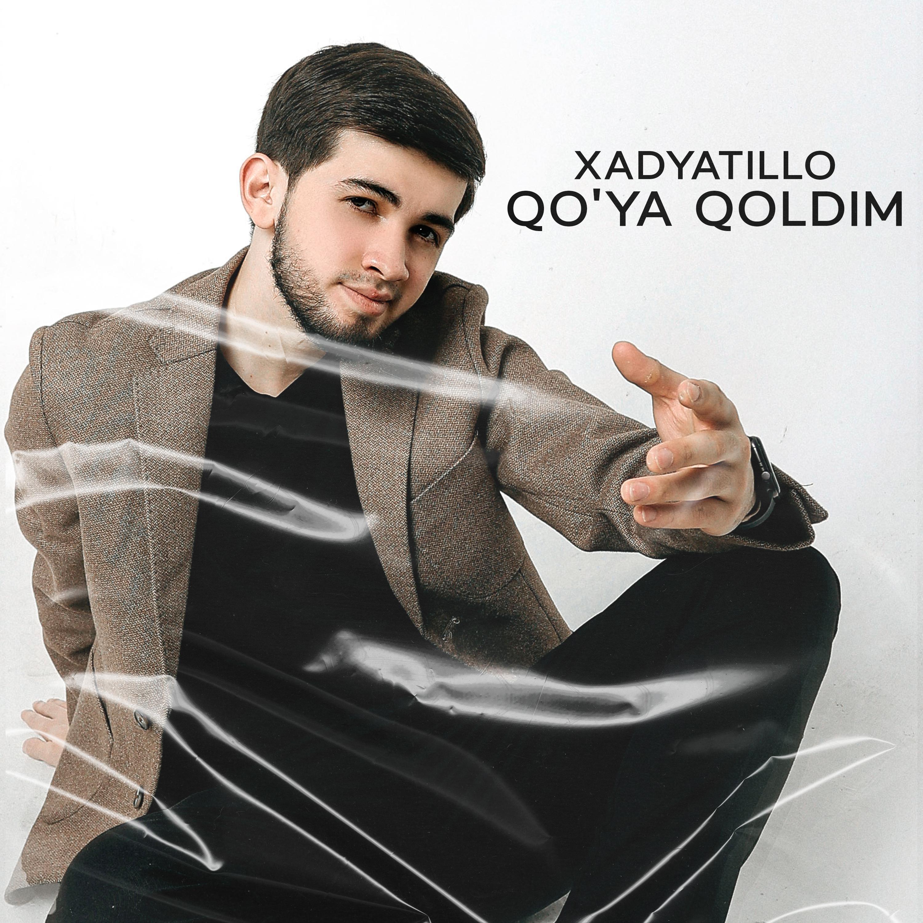 Постер альбома Qoya qoldim