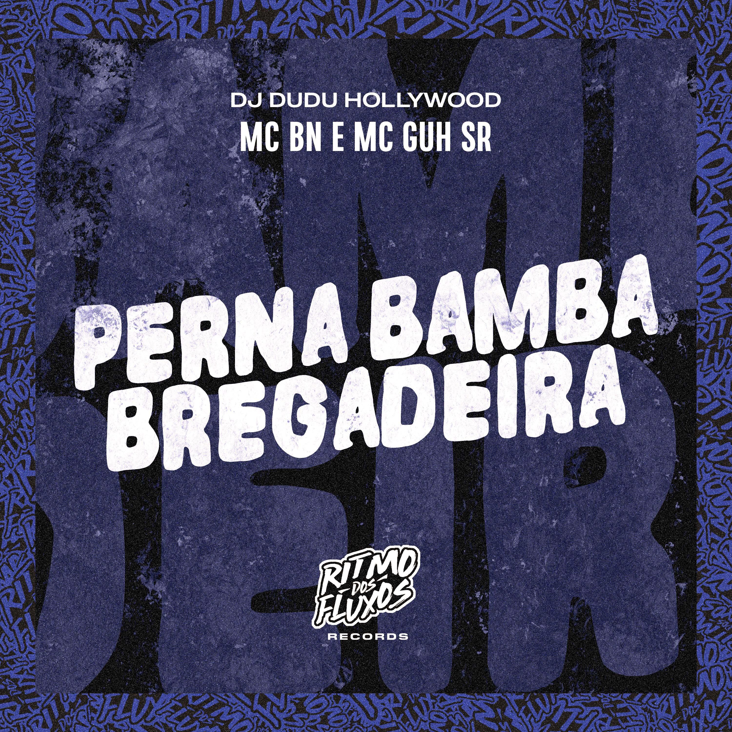 Постер альбома Perna Bamba (Bregadeira)