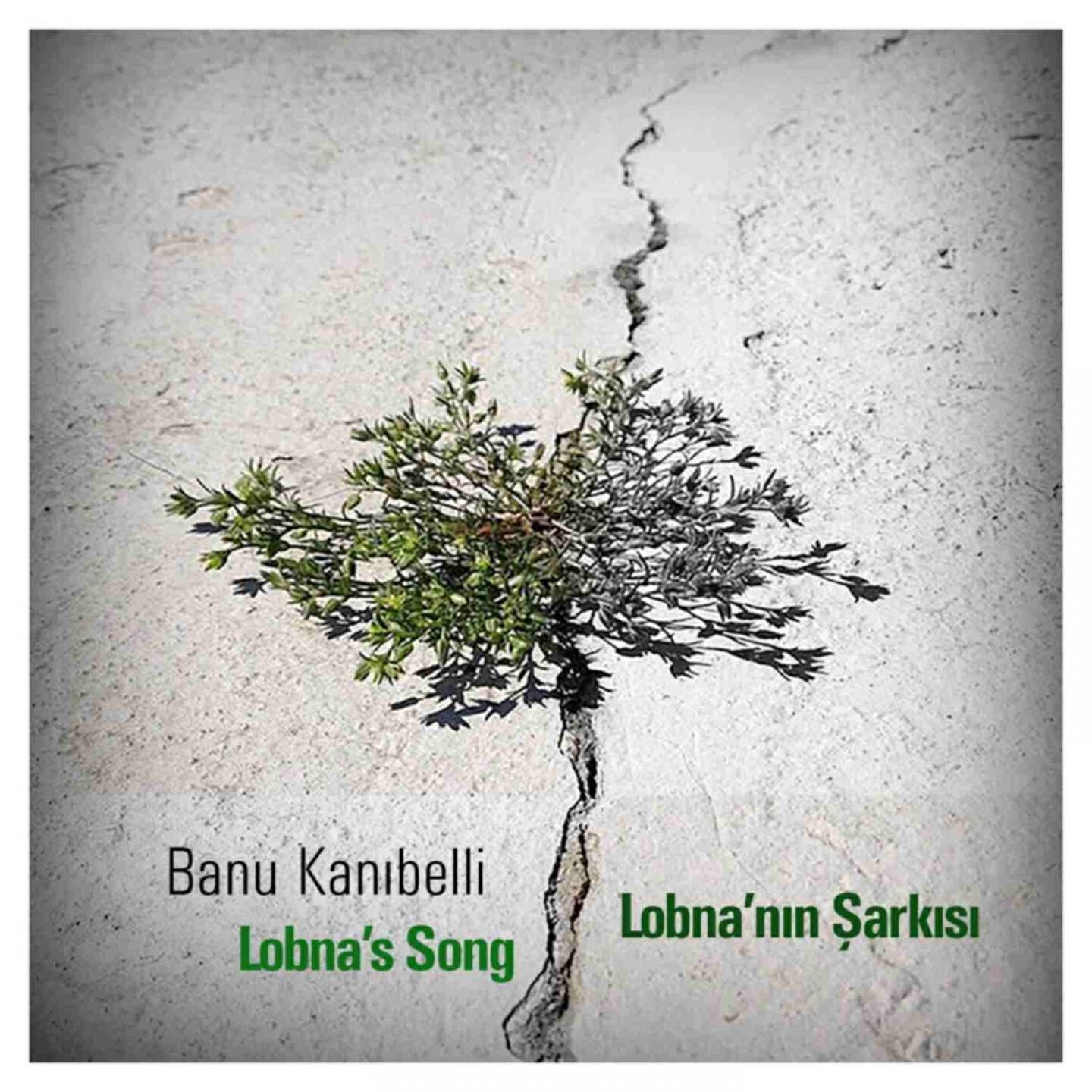 Banu Kanıbelli - Lobna's Song