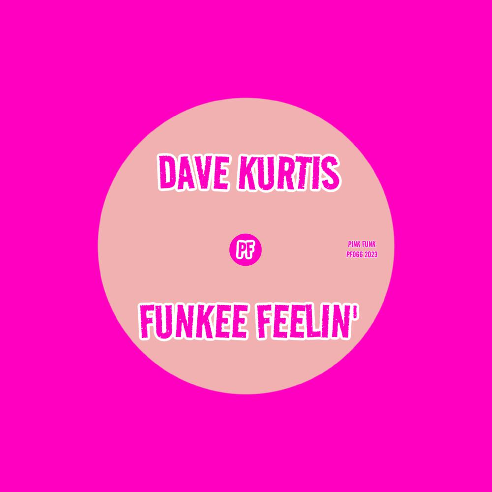 Постер альбома Funkee Feelin'