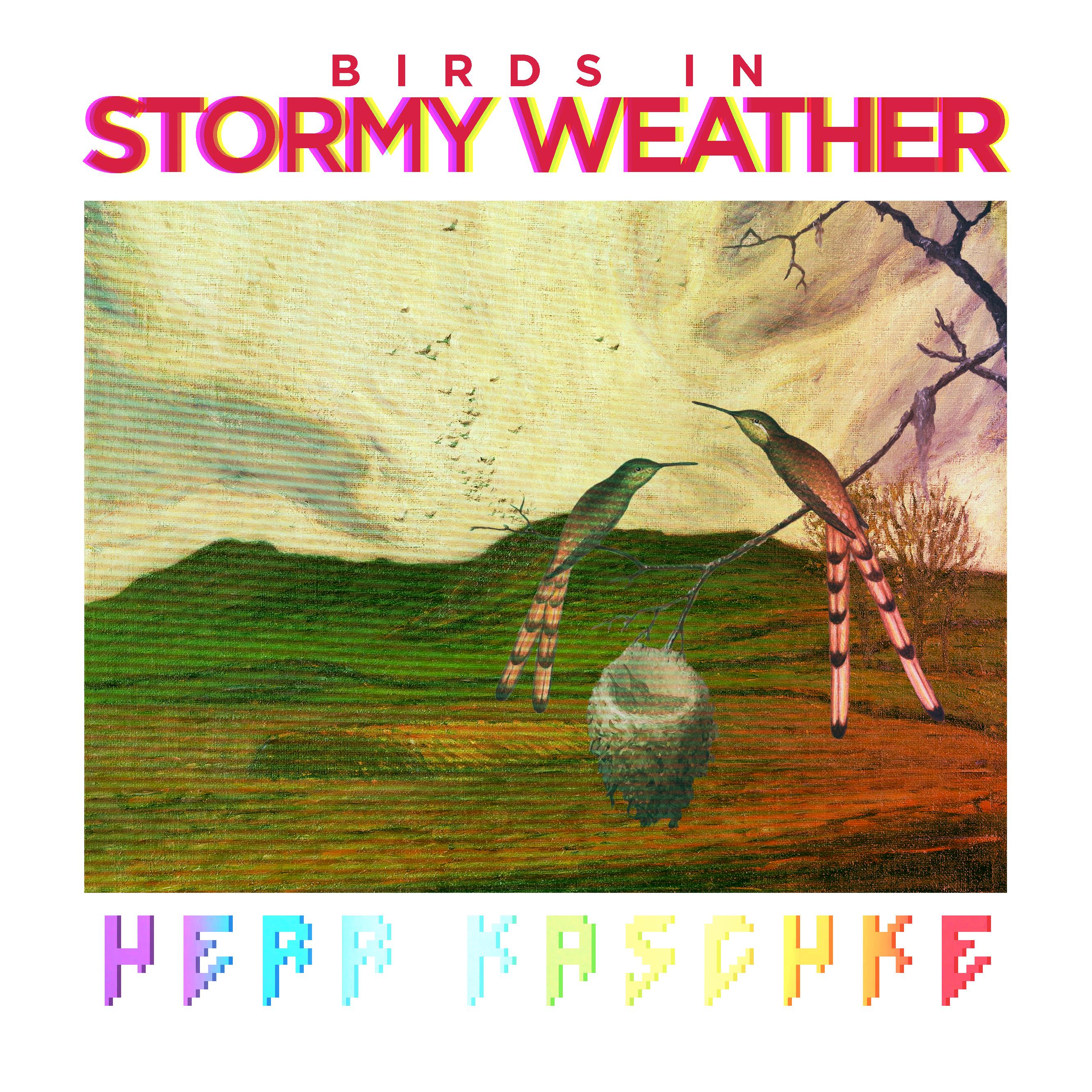 Постер альбома Birds In Stormy Weather