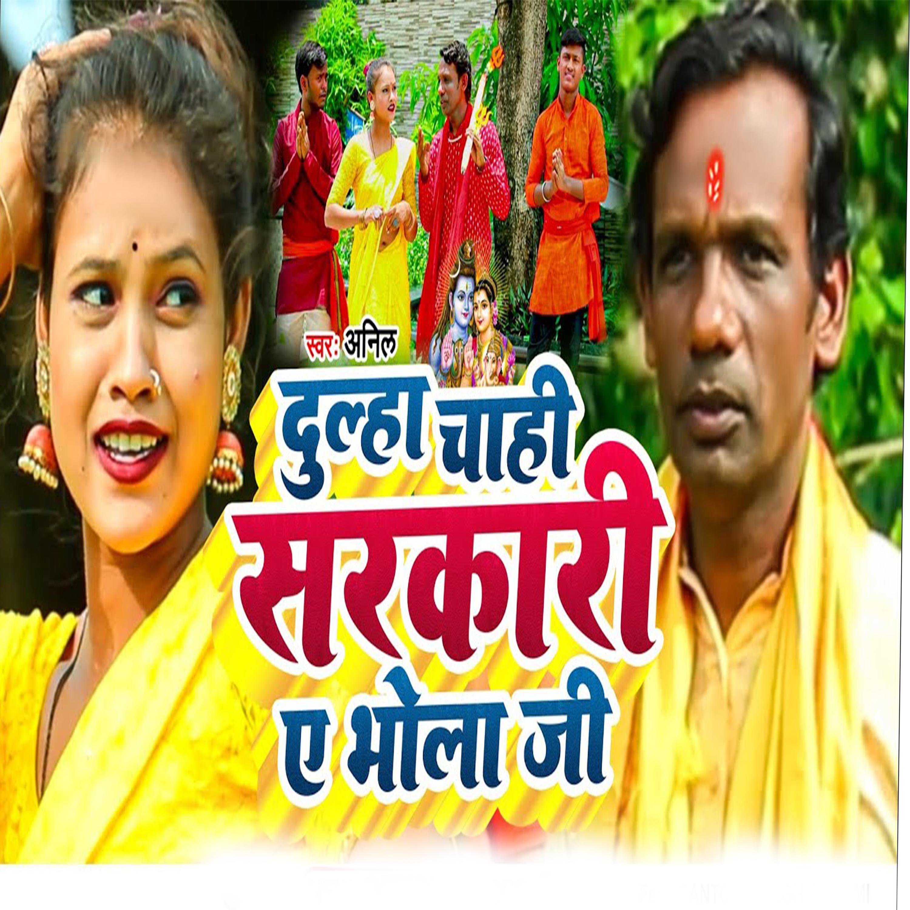 Постер альбома Dulha Chahi Sarkari Ye Bhola