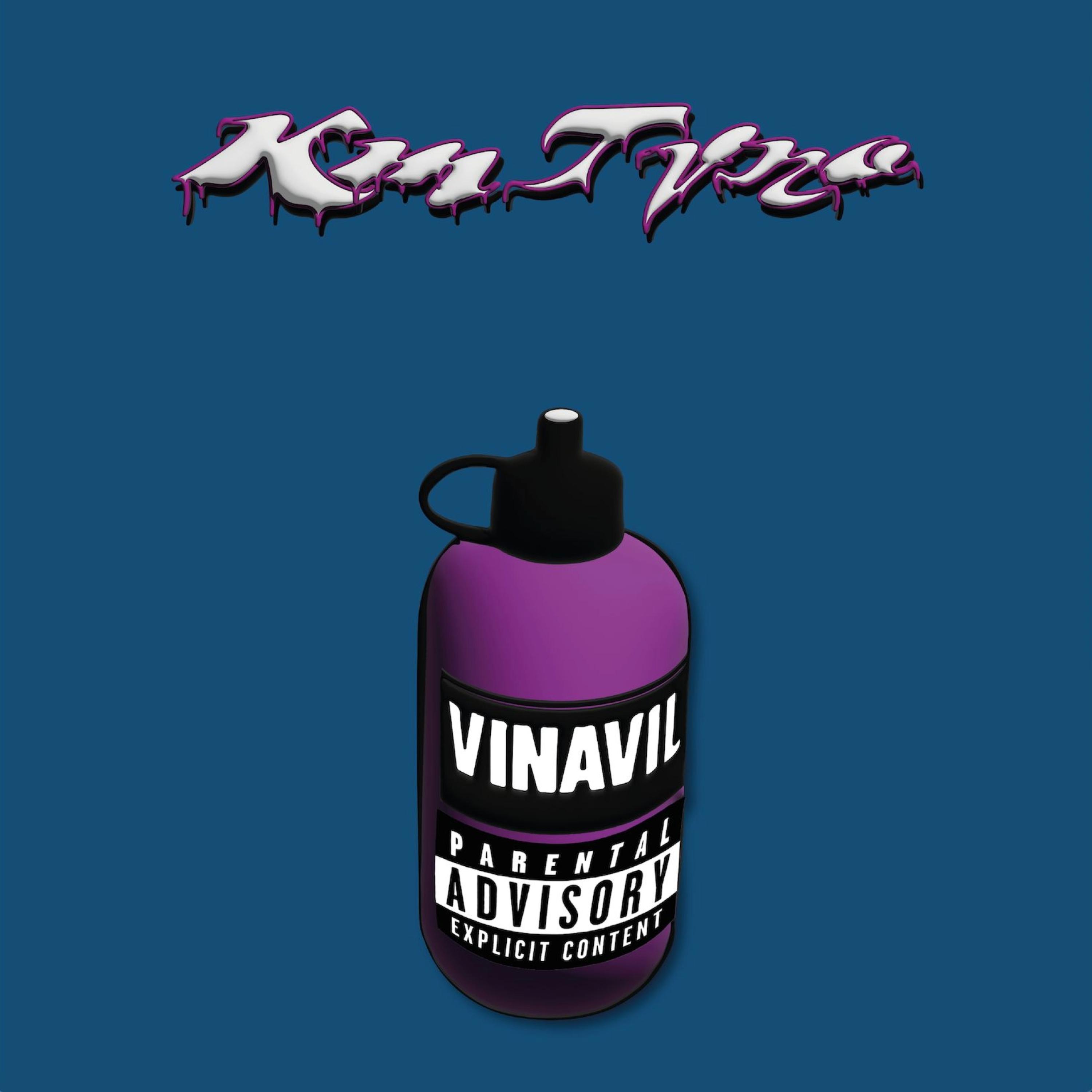 Постер альбома VINAVIL