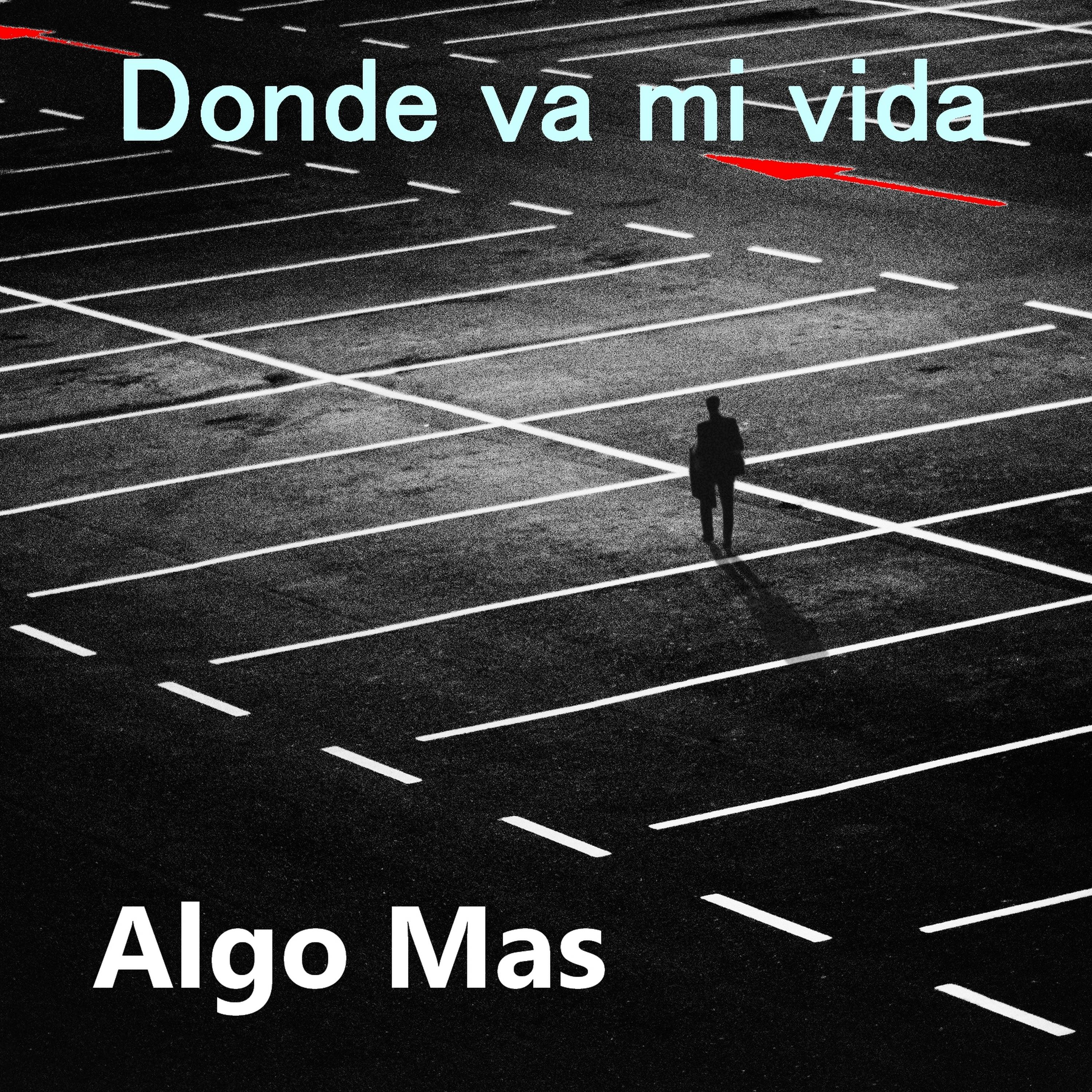 Постер альбома Donde Va Mi Vida