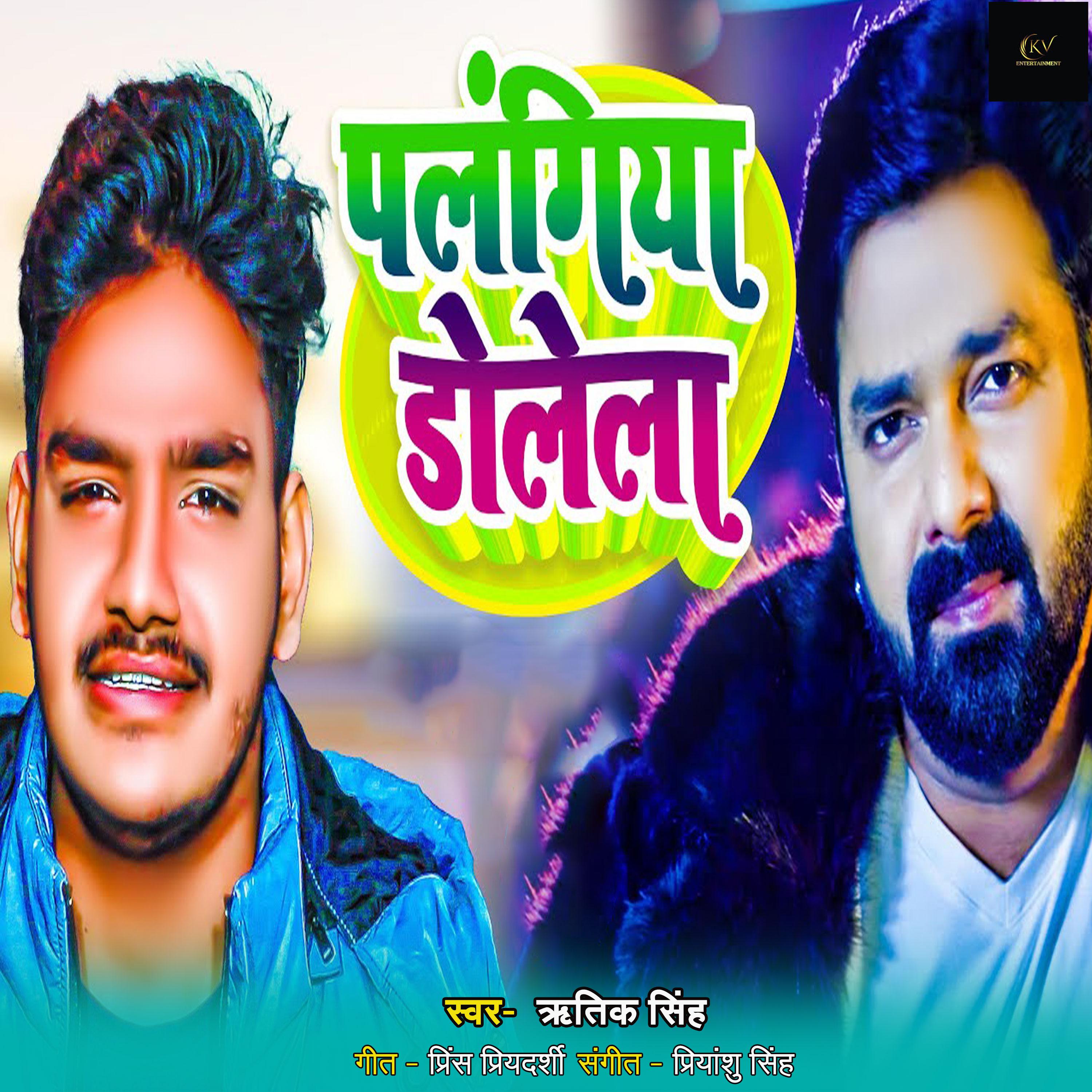 Постер альбома Palngiya Dolela