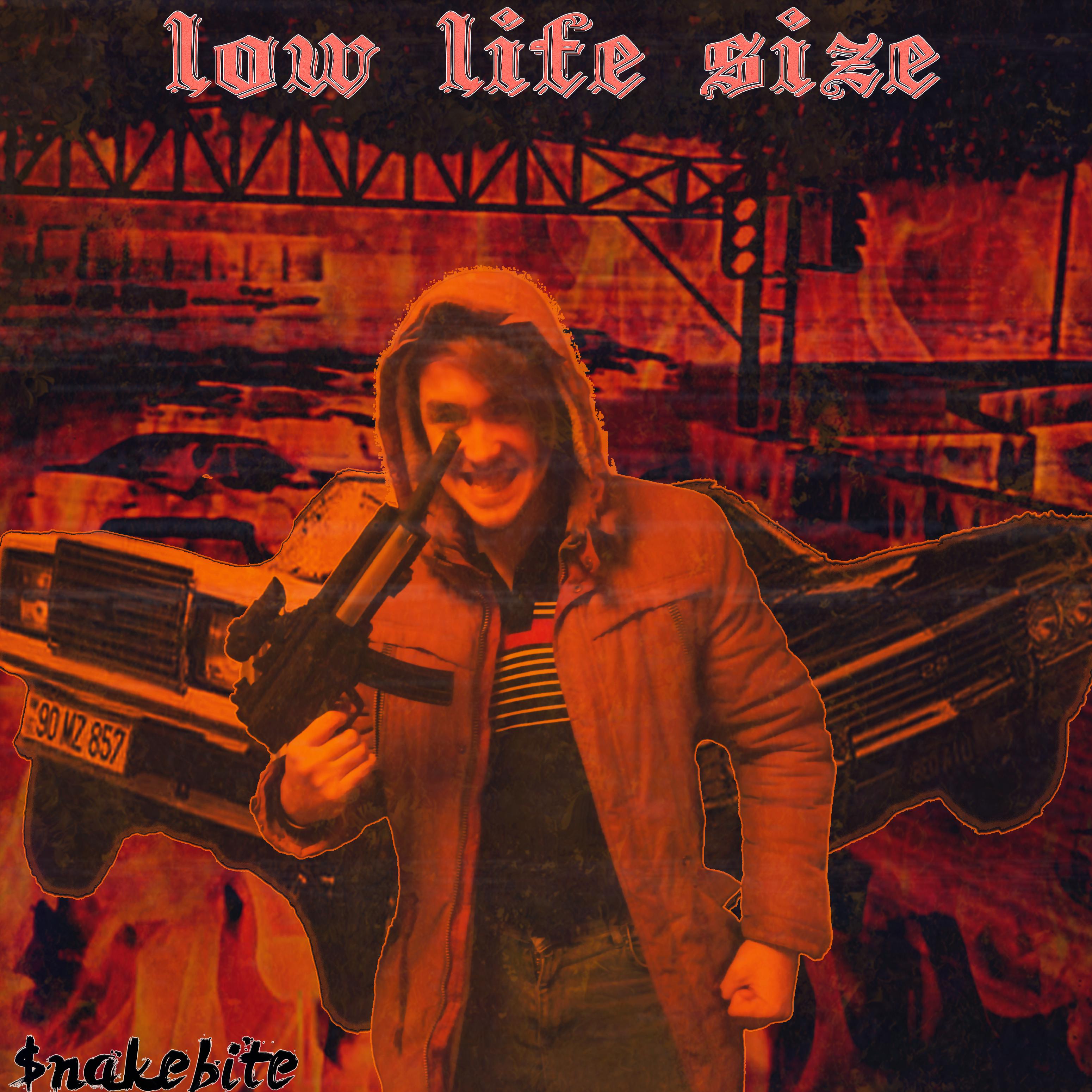 Постер альбома Low Life Size