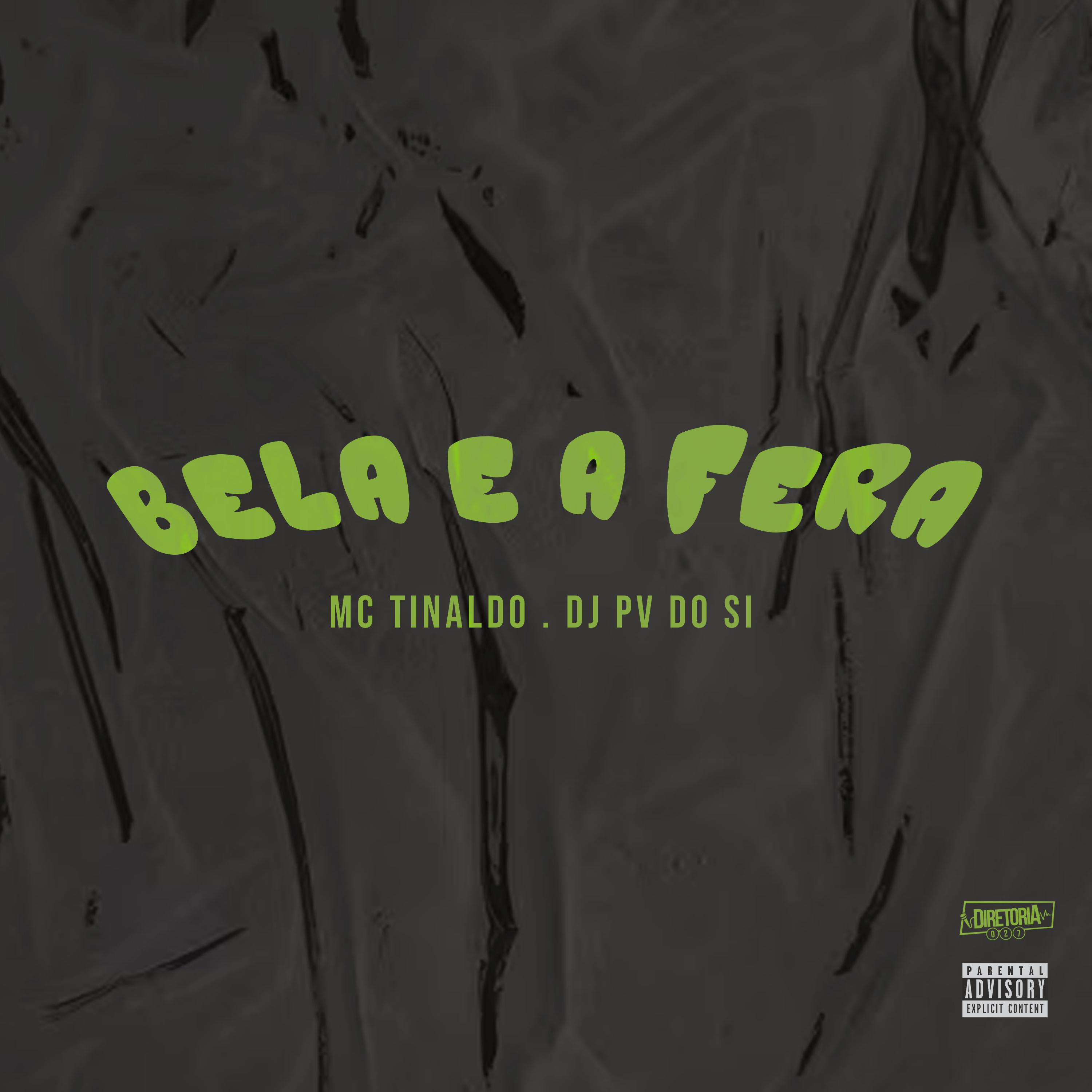 Постер альбома Bela e a Fera