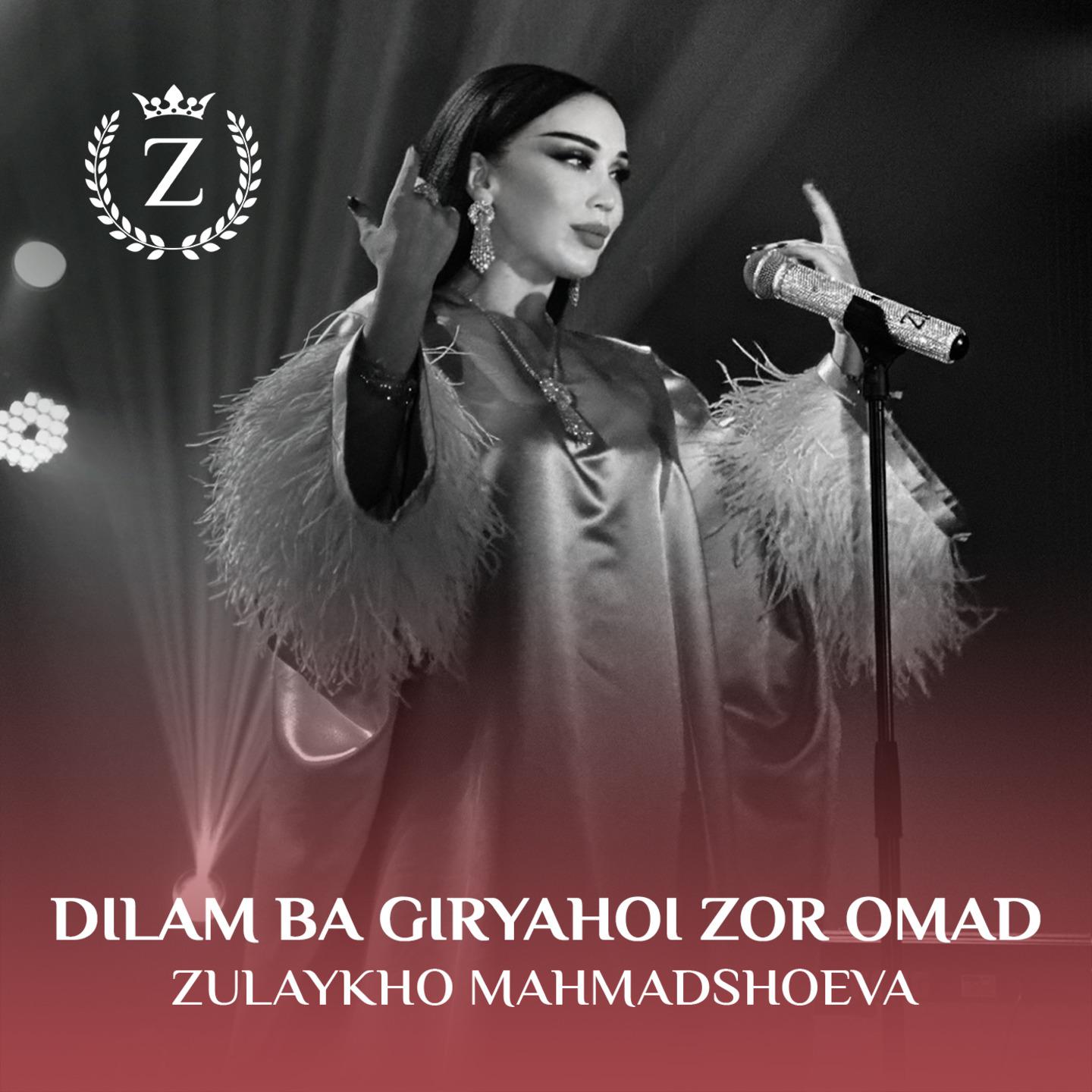 Постер альбома Dilam Ba Giryahoi Zor Omad