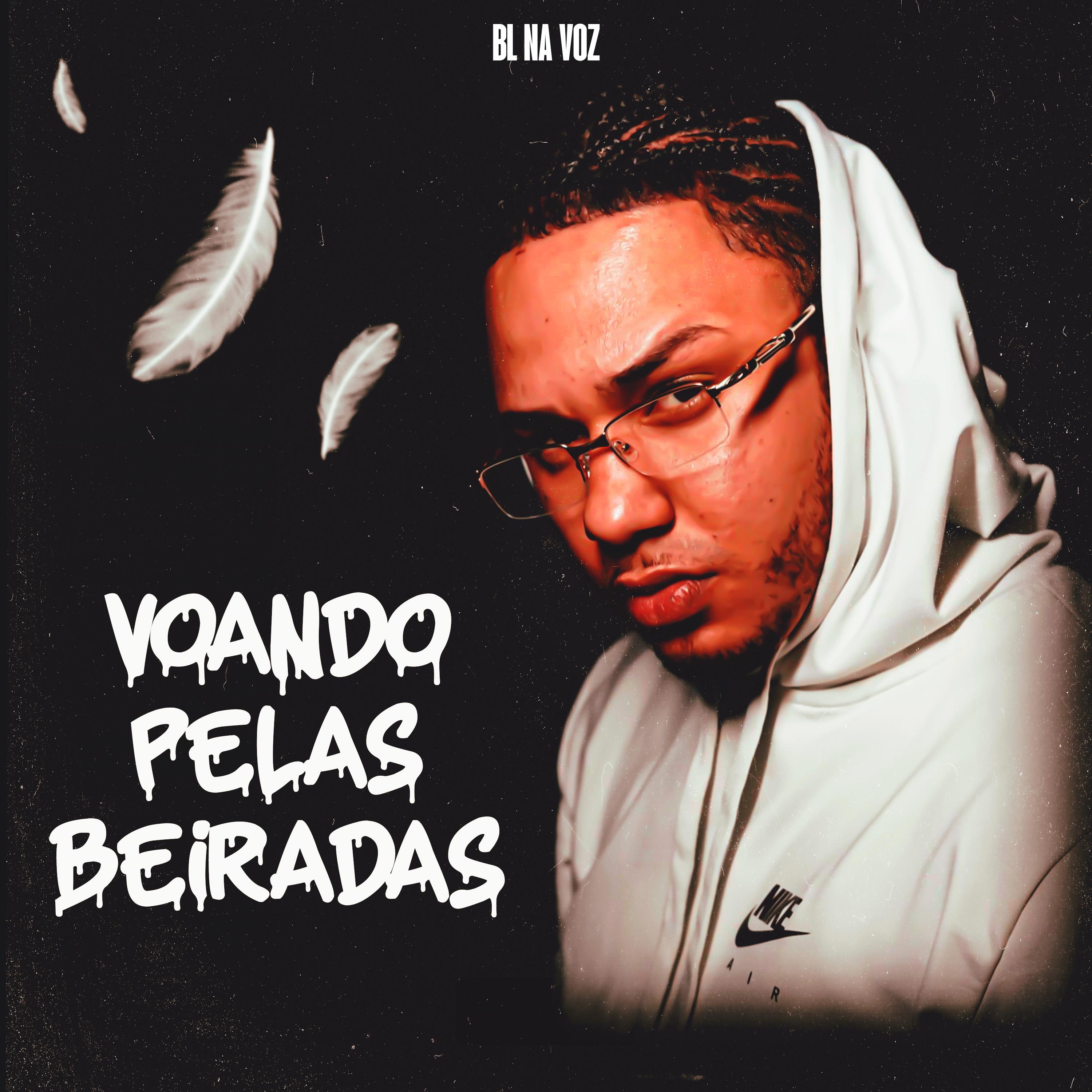 Постер альбома Voando Pelas Beiradas