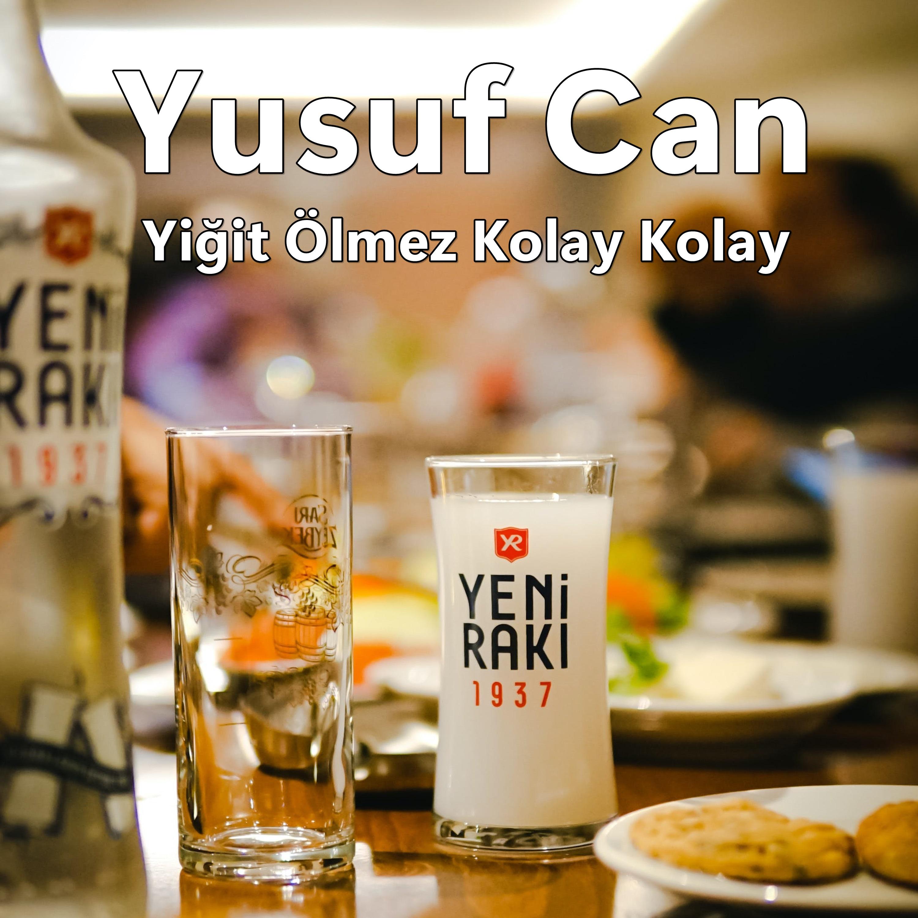 Постер альбома Yiğit Ölmez Kolay Kolay