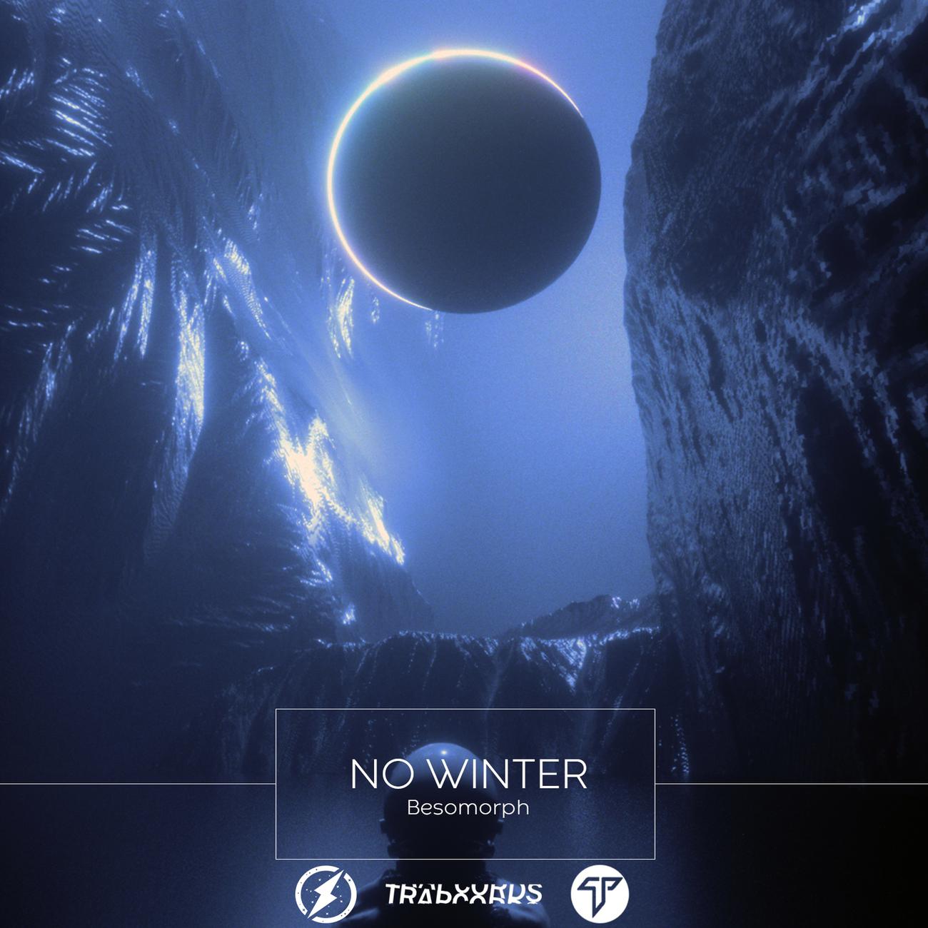 Постер альбома No Winter