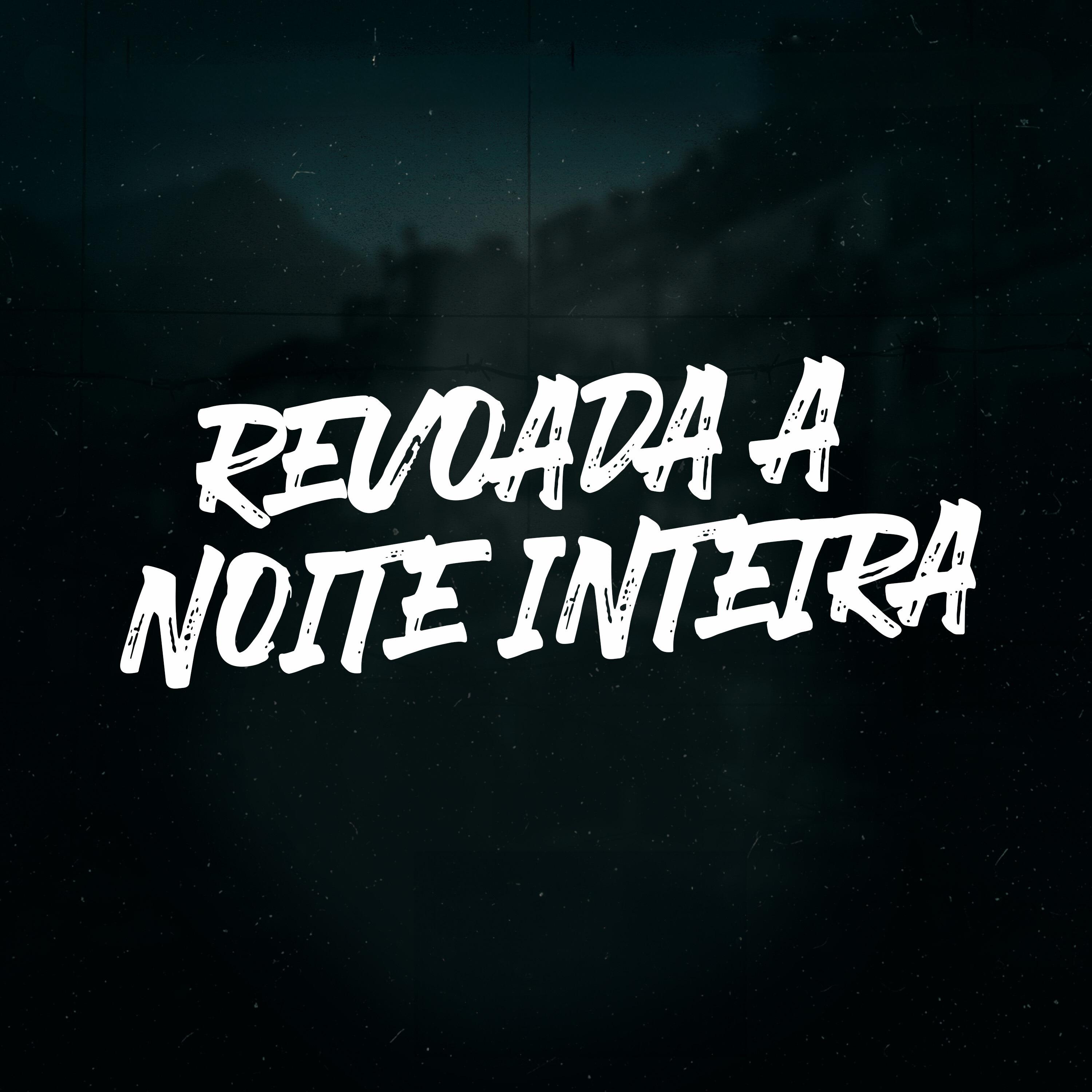 Постер альбома Revoada a Noite Inteira