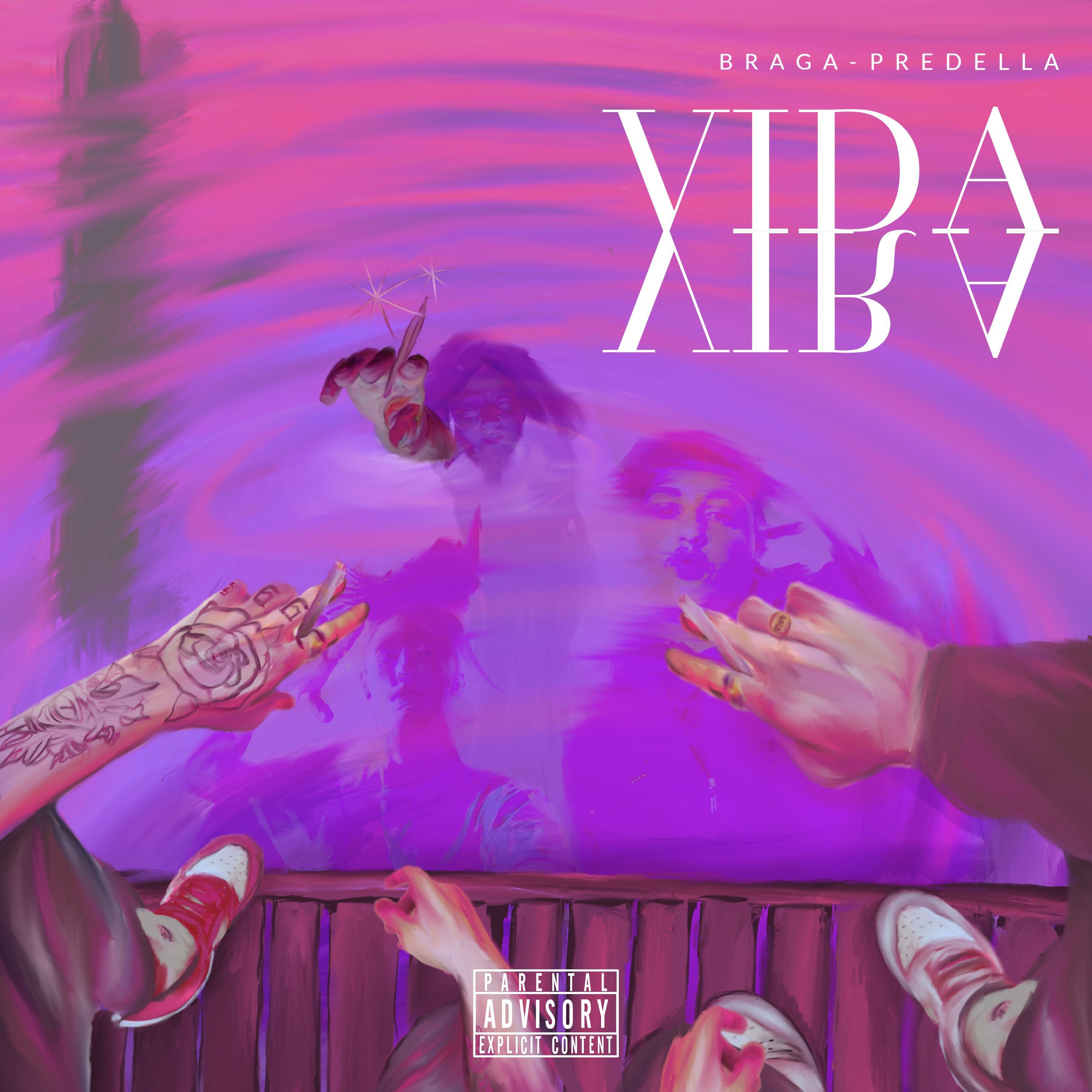 Постер альбома Vida Vira