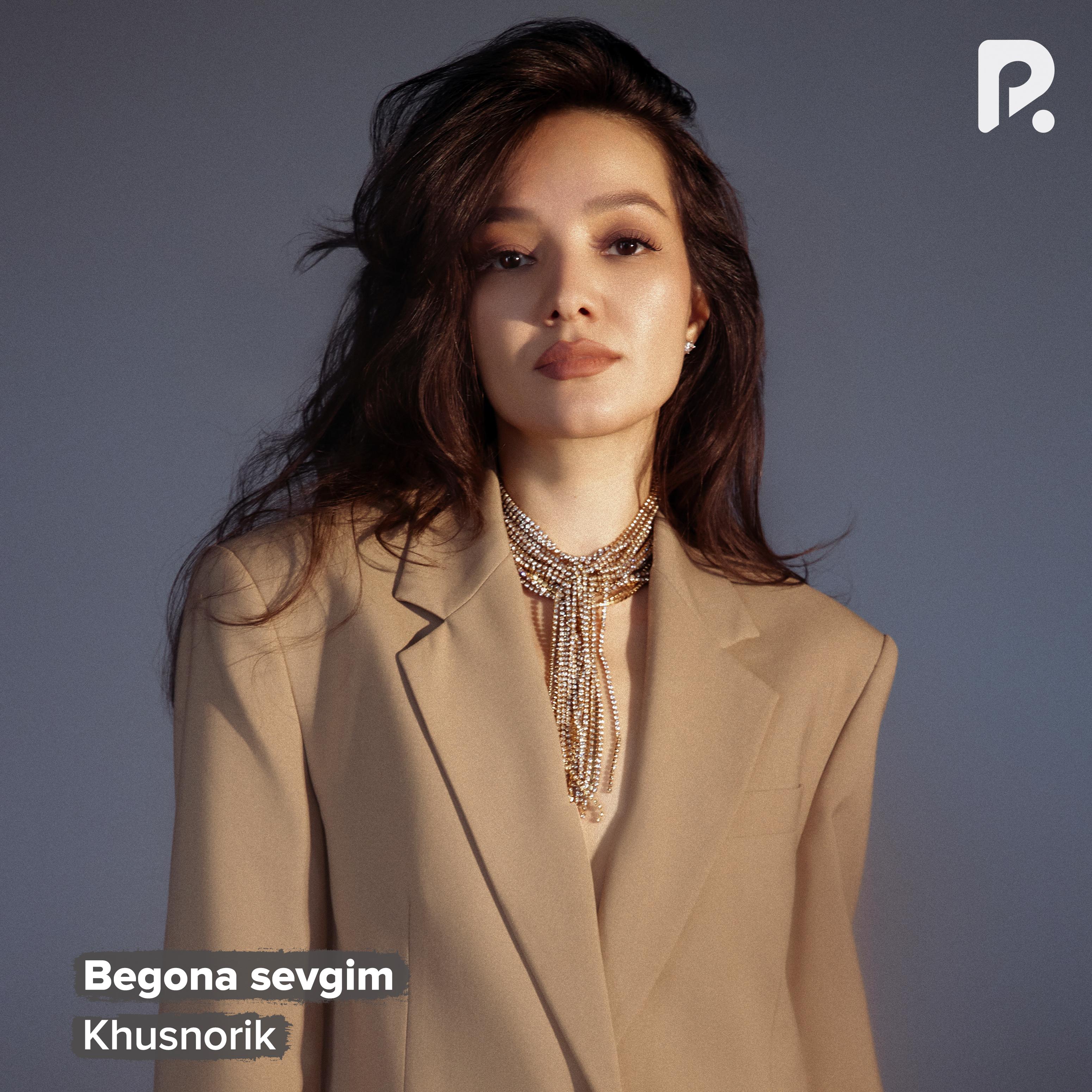 Постер альбома Begona sevgim