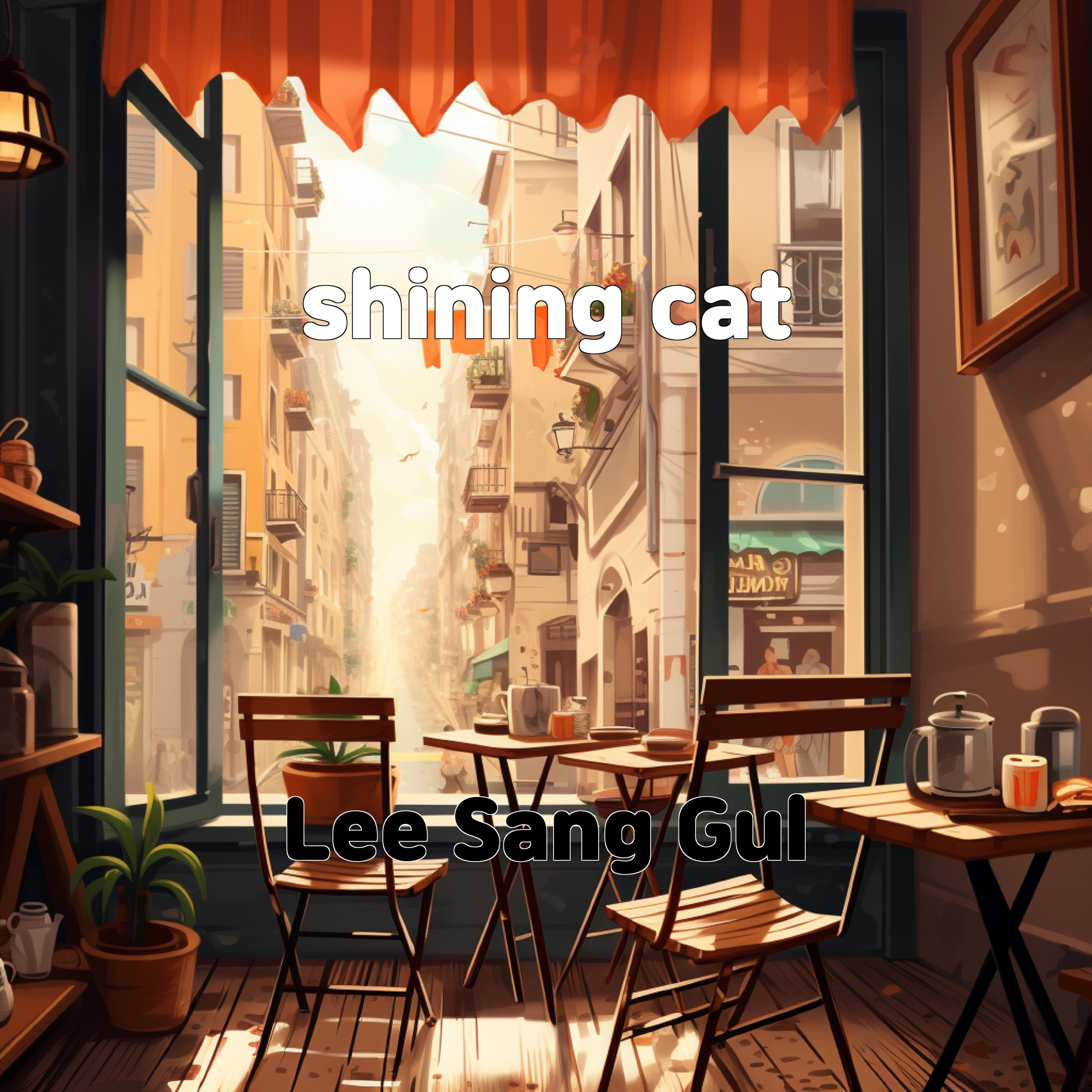 Постер альбома shining cat
