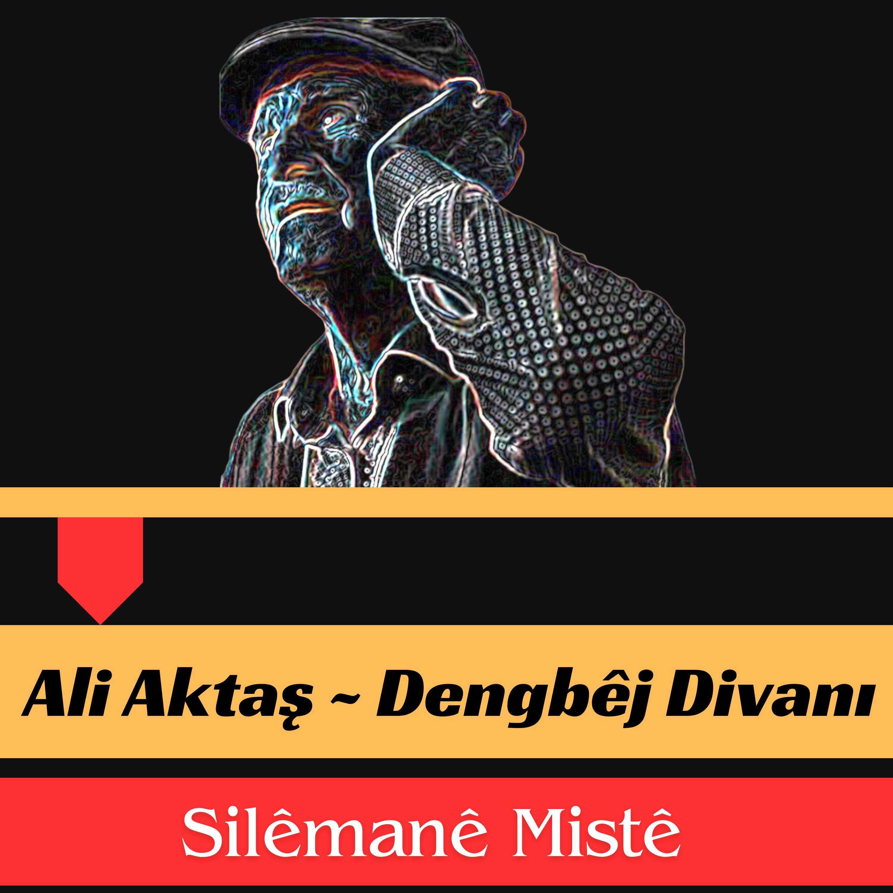 Постер альбома Sılémané Mısté