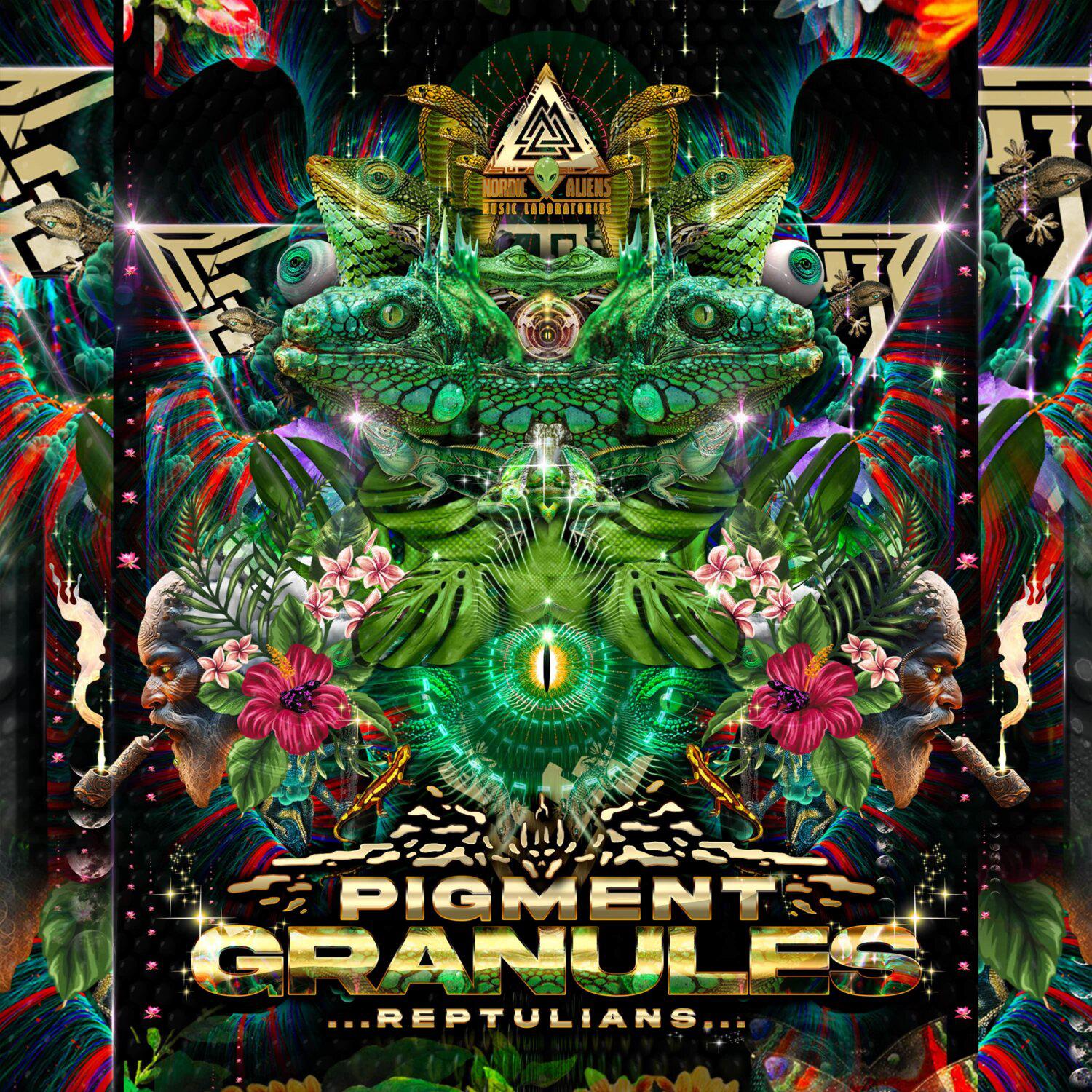 Постер альбома Pigment Granules