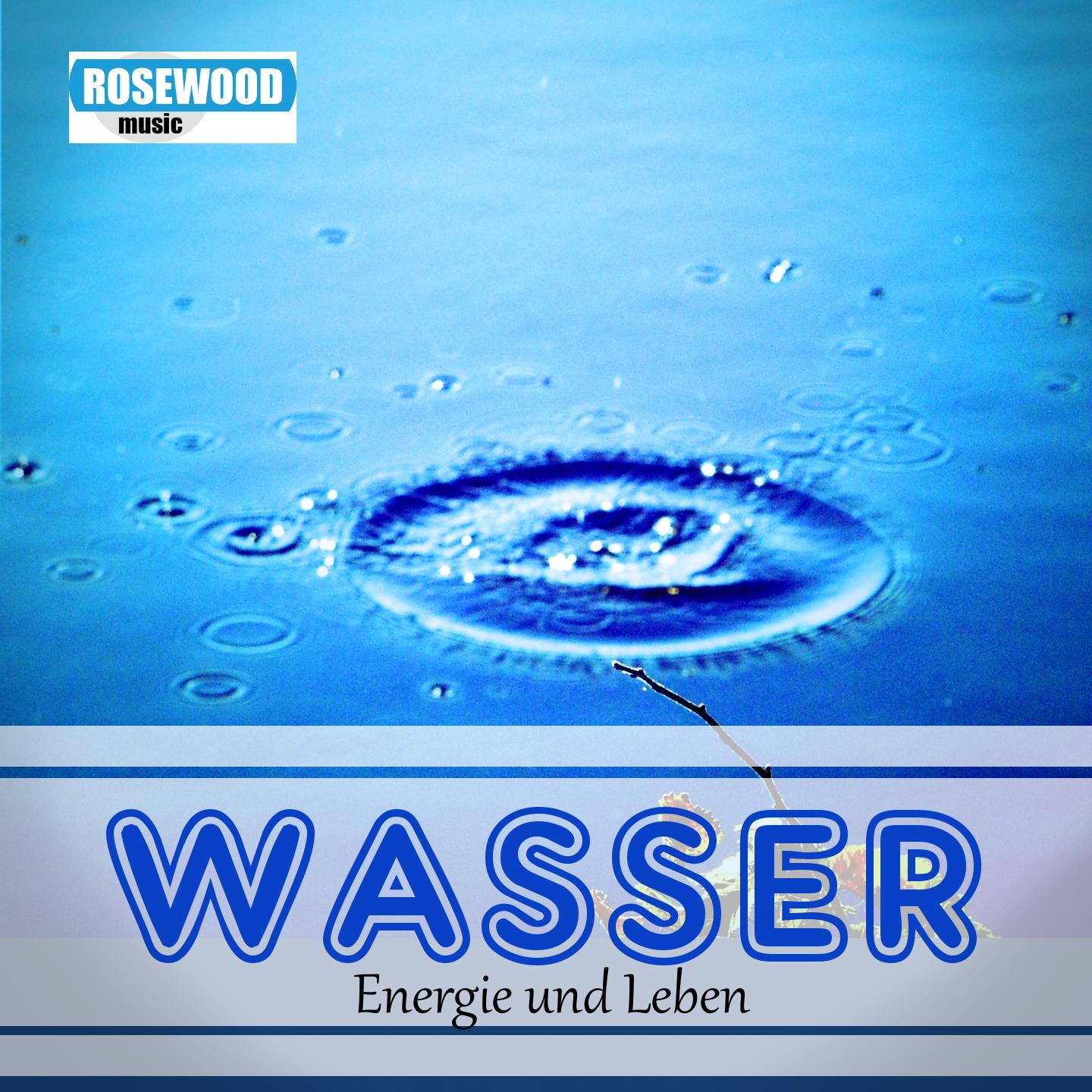 Постер альбома Wasser