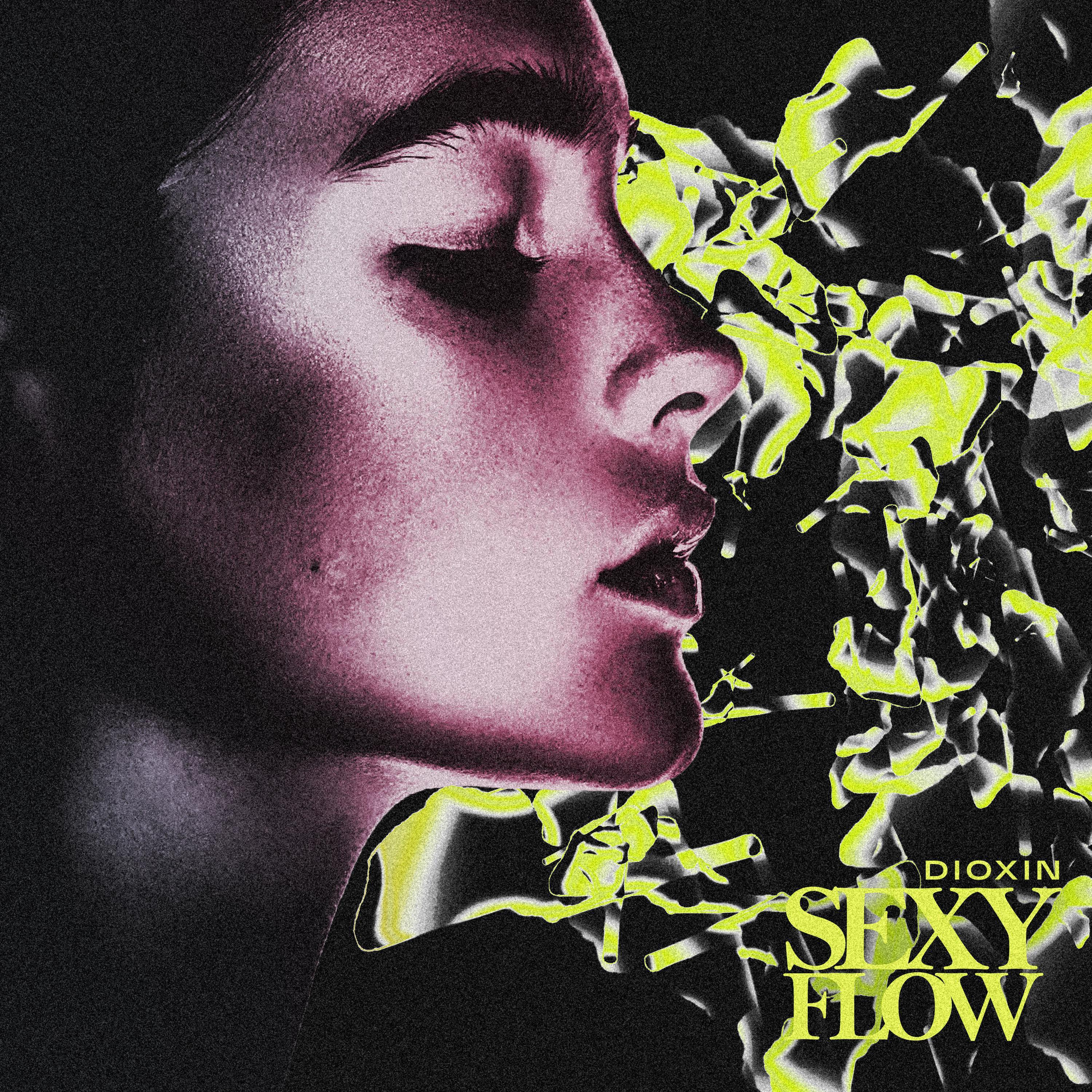 Постер альбома Sexy Flow