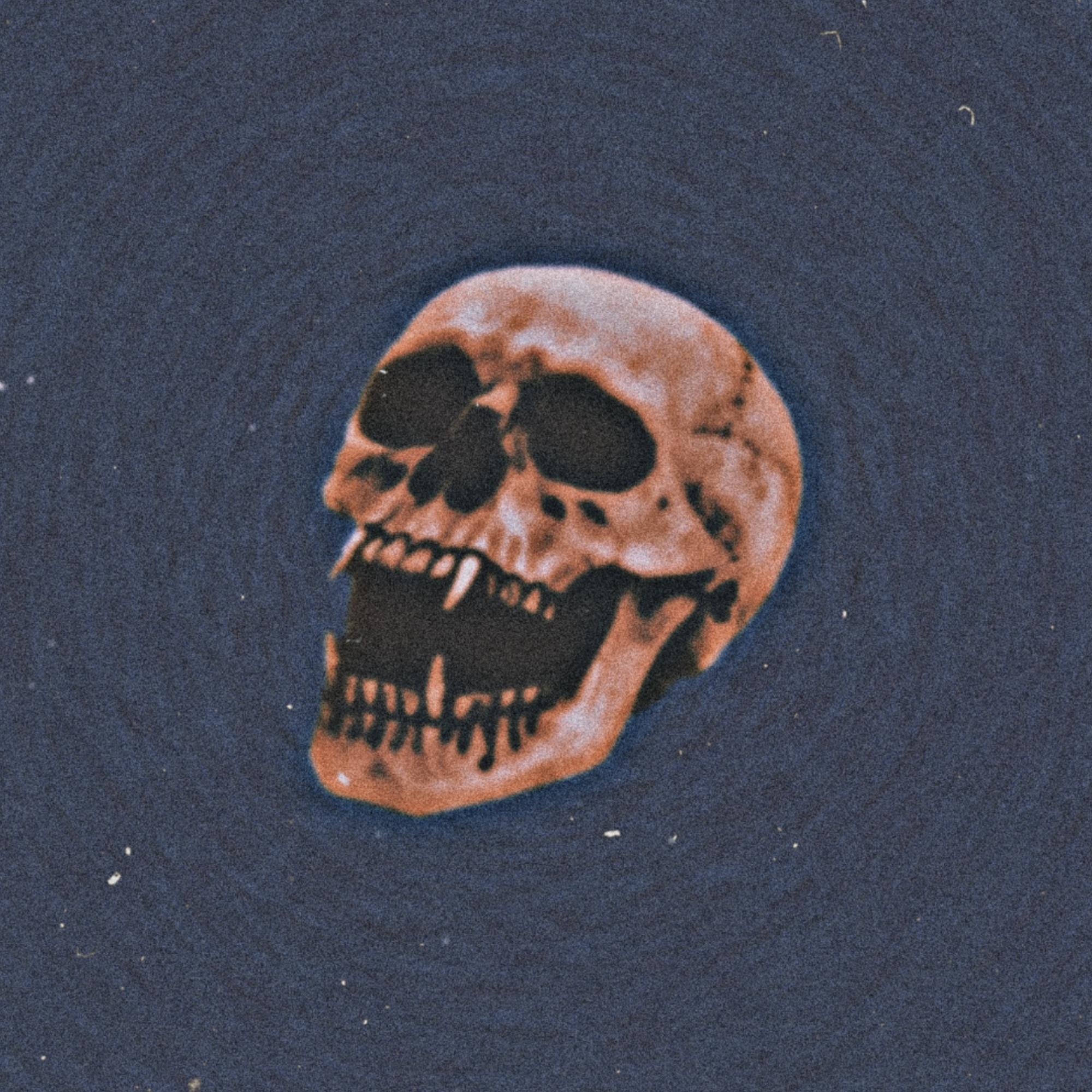 Постер альбома Cranium