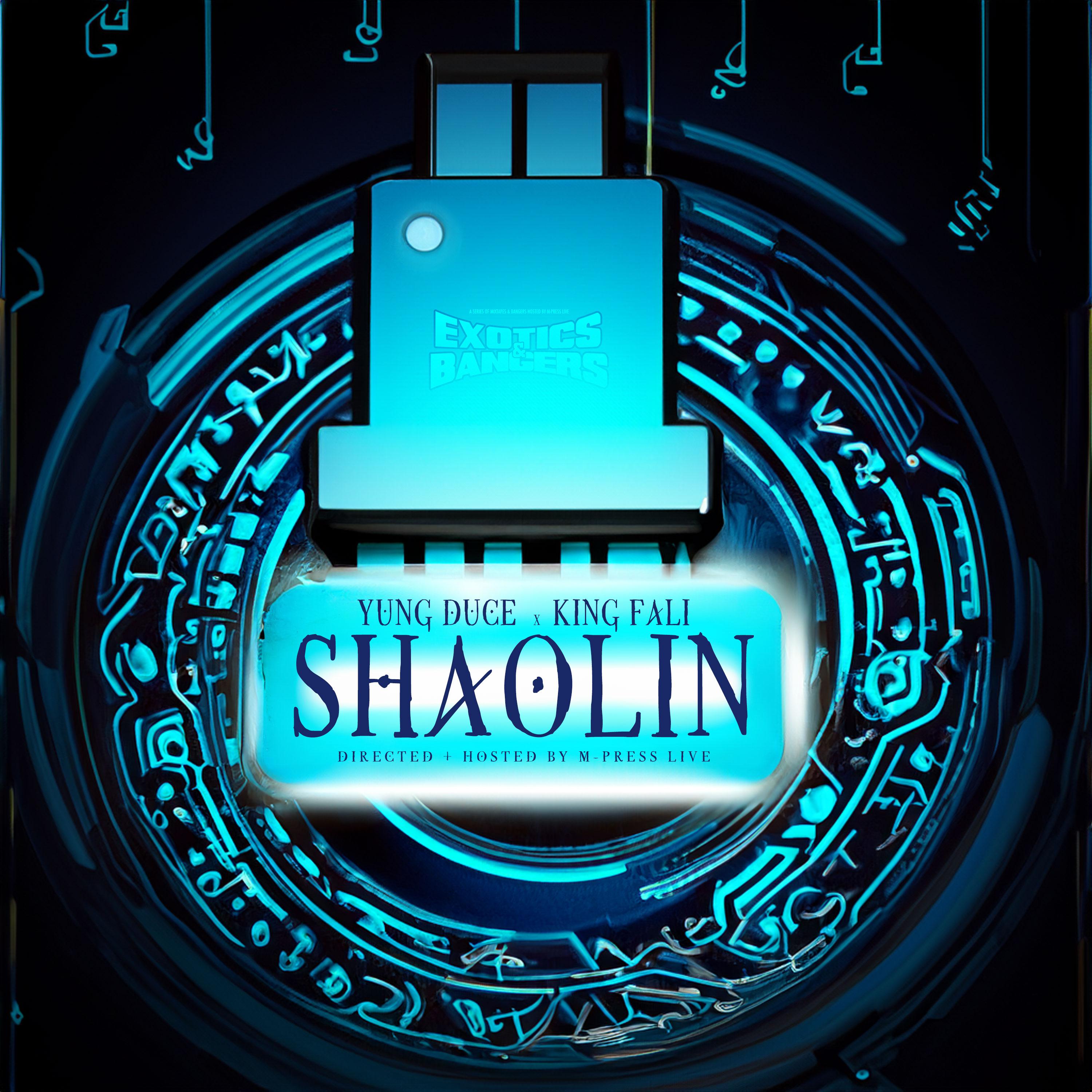 Постер альбома SHAOLIN