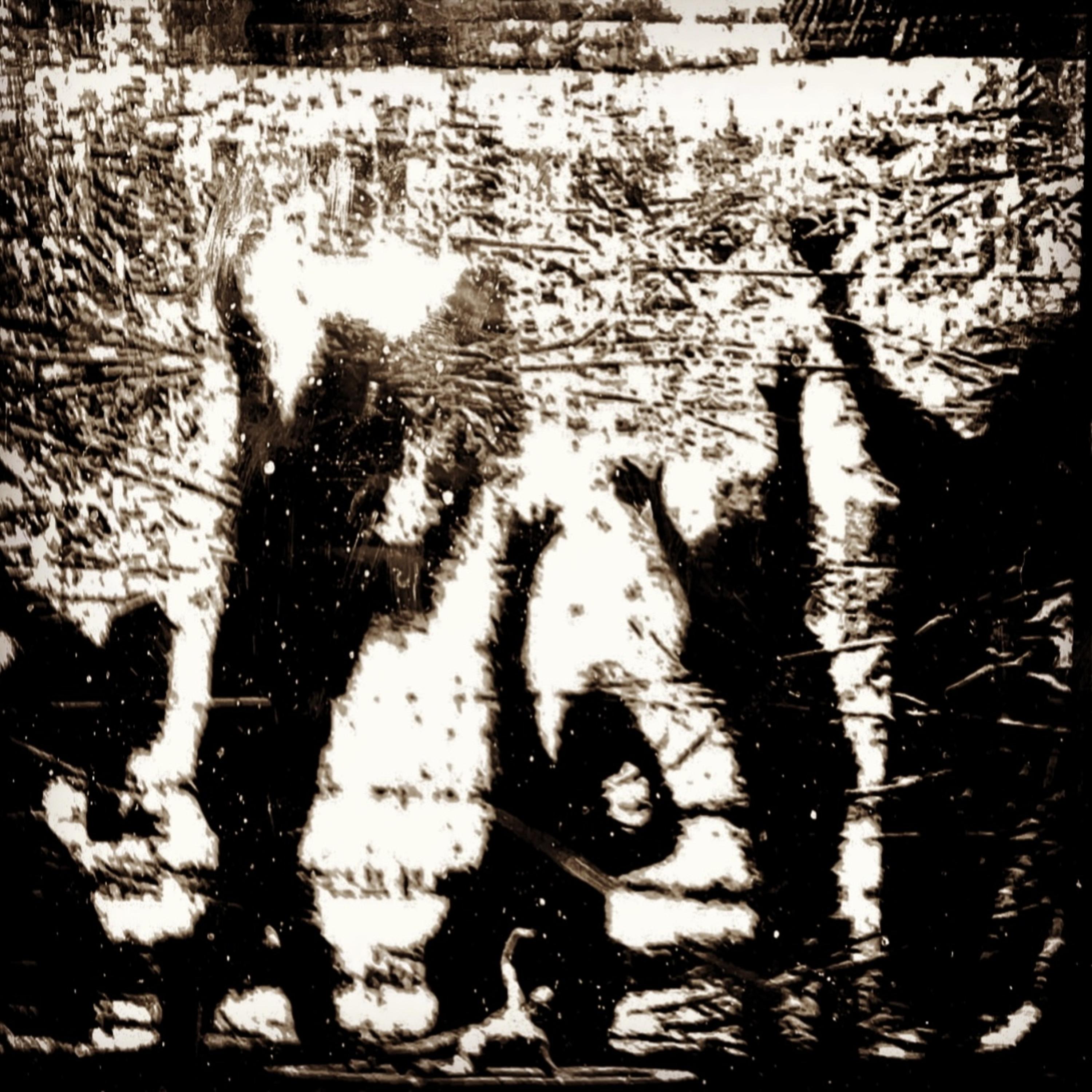 Постер альбома тени хиросимы