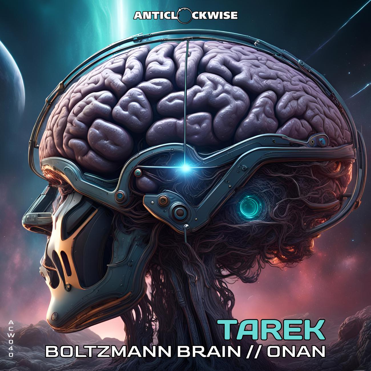 Постер альбома Boltzmann Brain