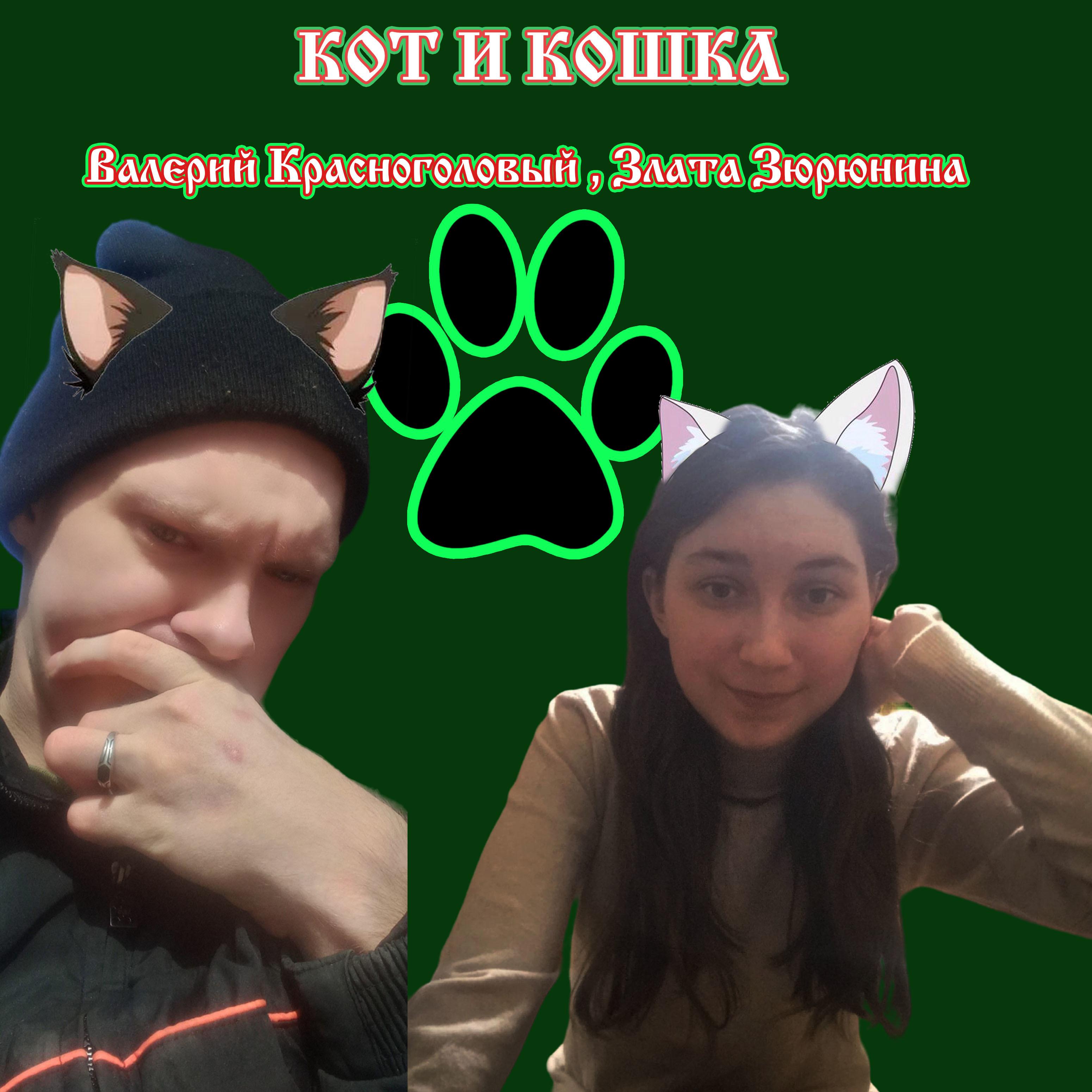 Постер альбома Кот и кошка