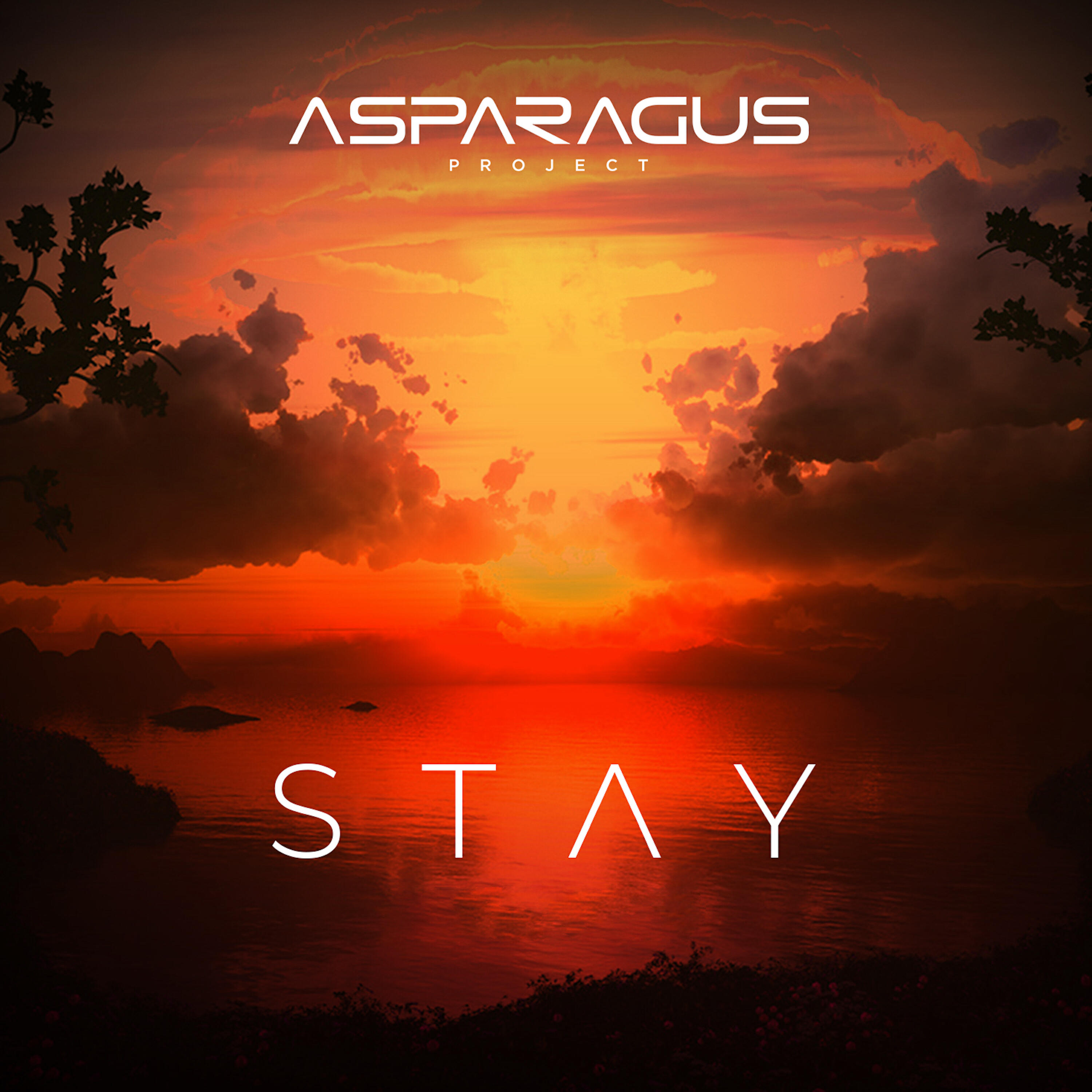 Постер альбома Stay