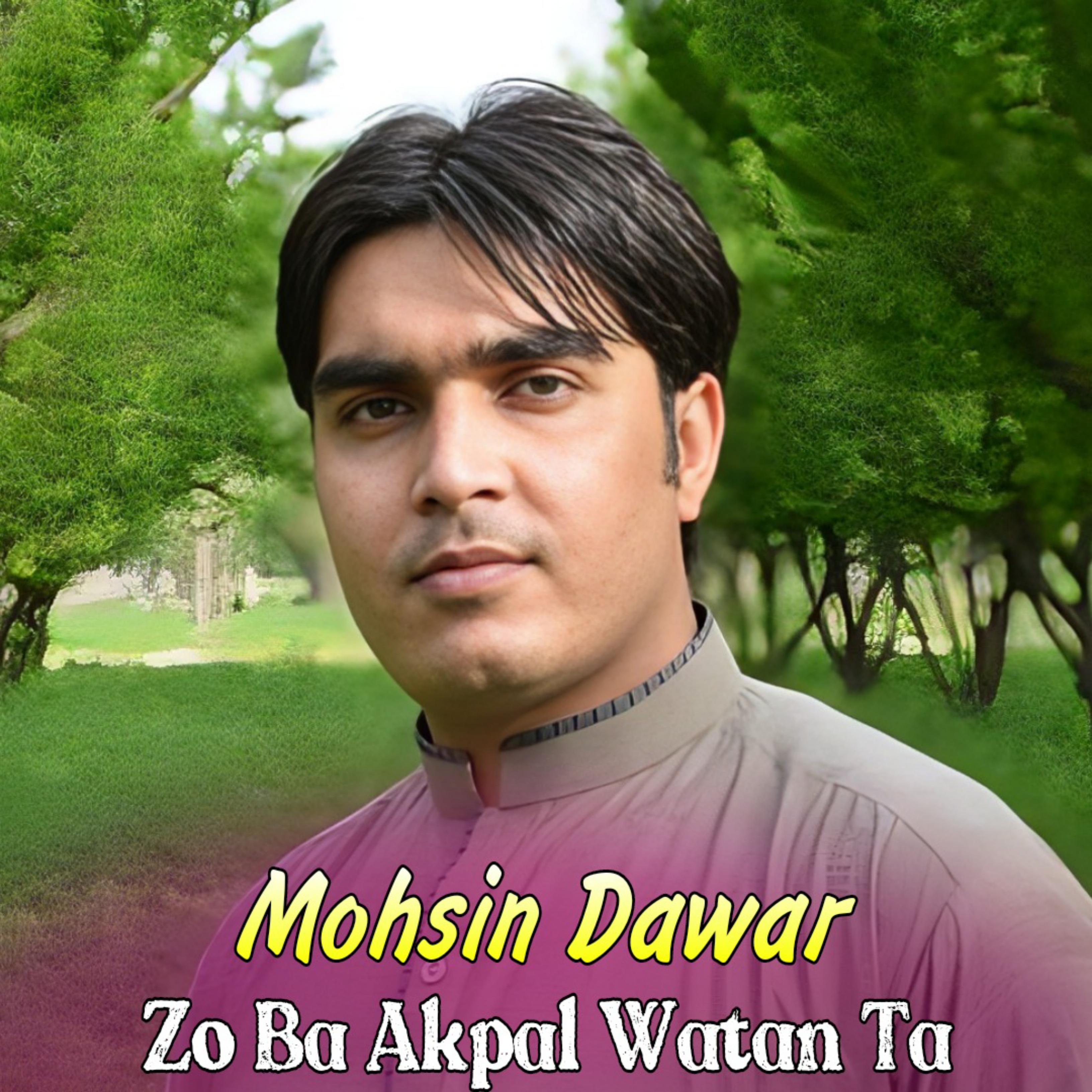 Постер альбома Mohsin Dawar