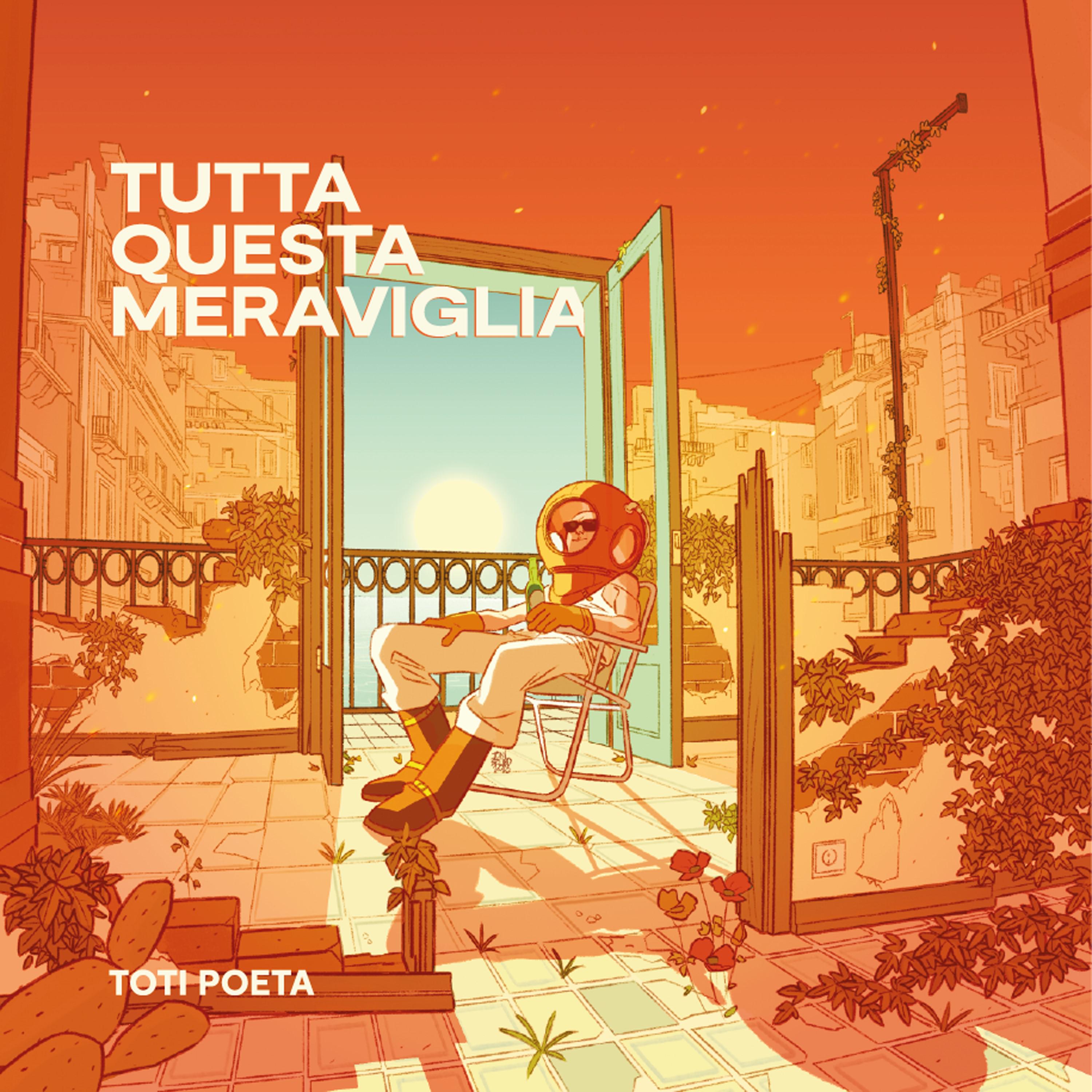 Постер альбома Tutta questa meraviglia