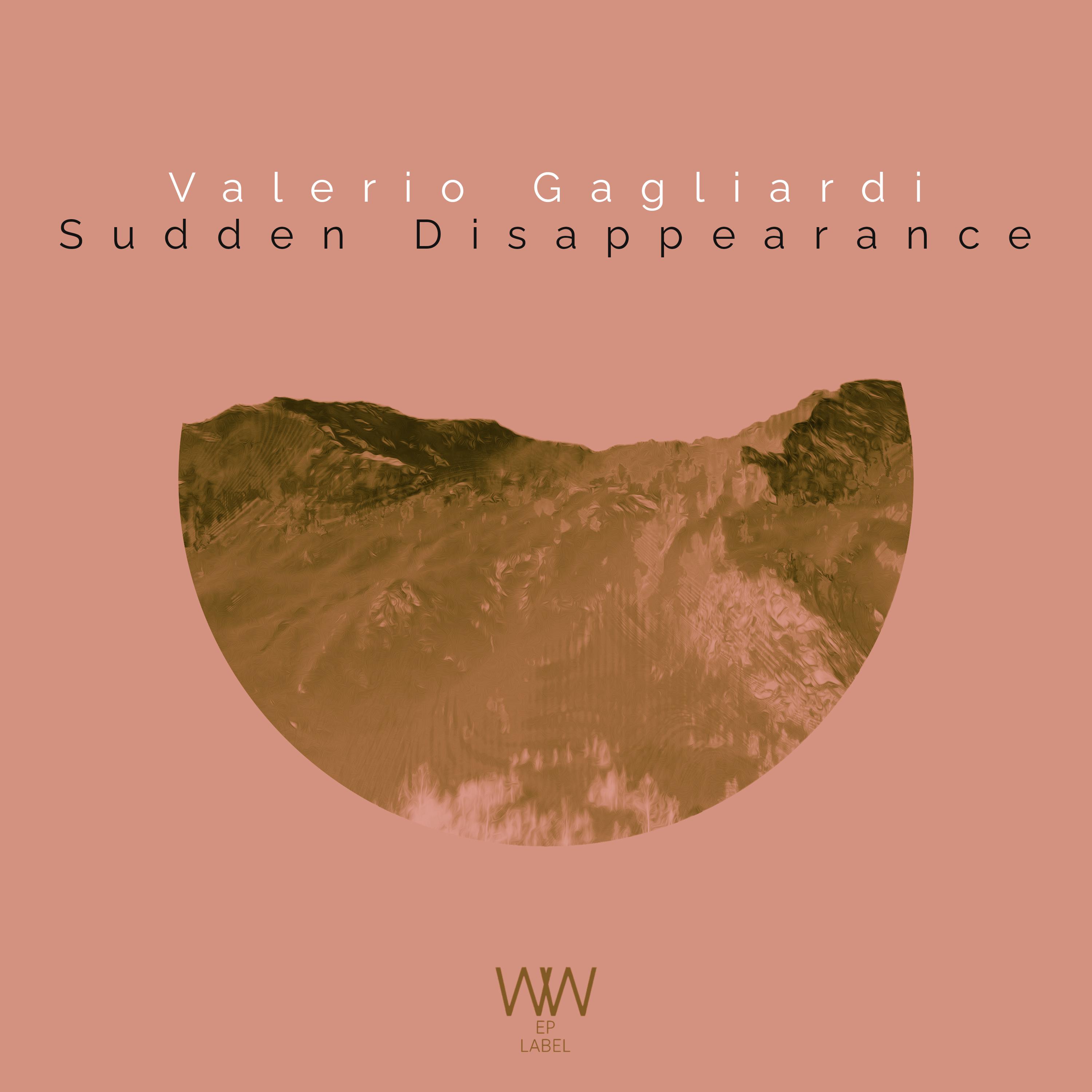 Постер альбома Sudden Disappearance