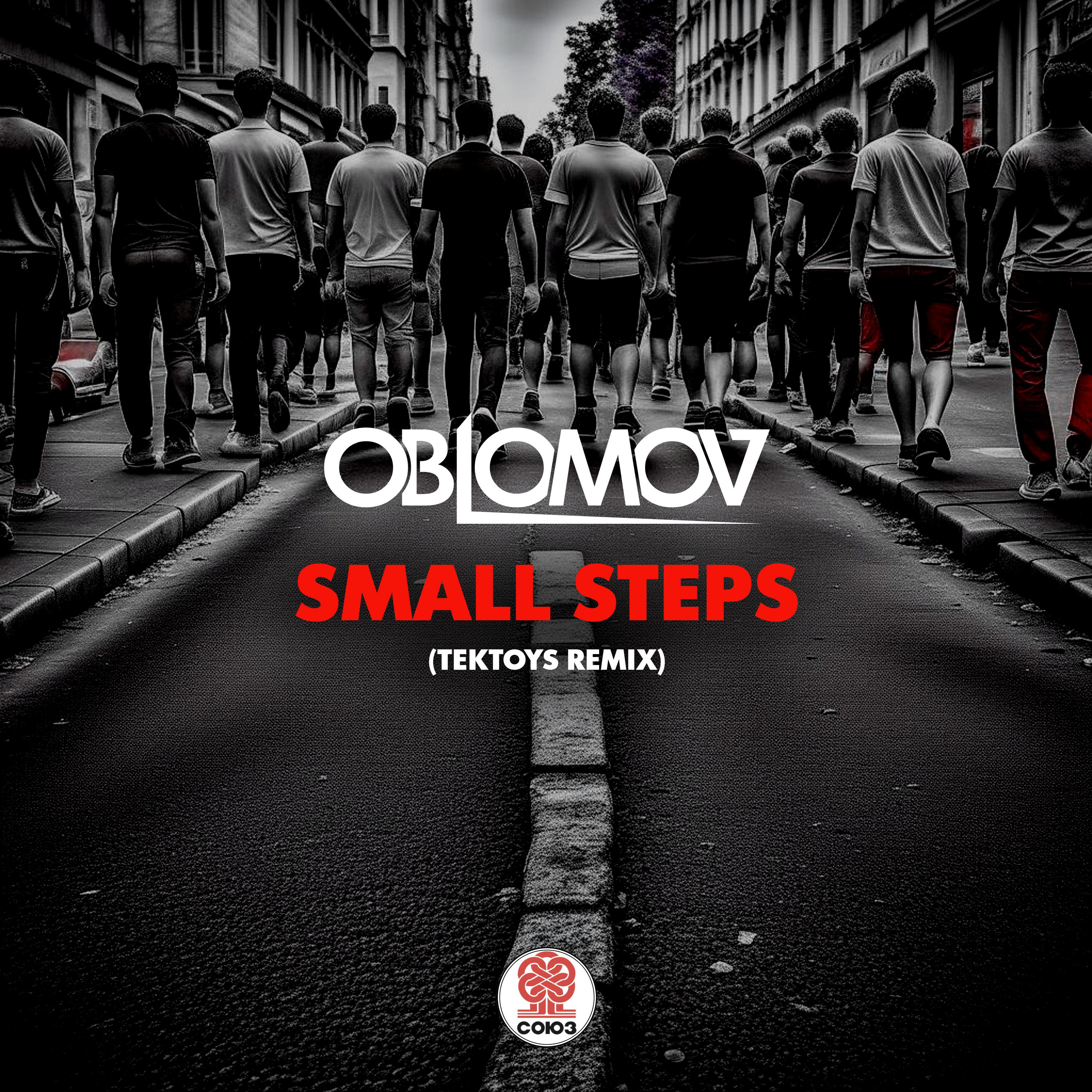 Постер альбома Small Steps (Tektoys Remix)