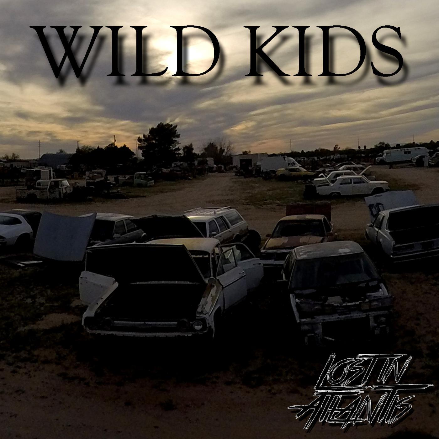 Постер альбома Wild Kids