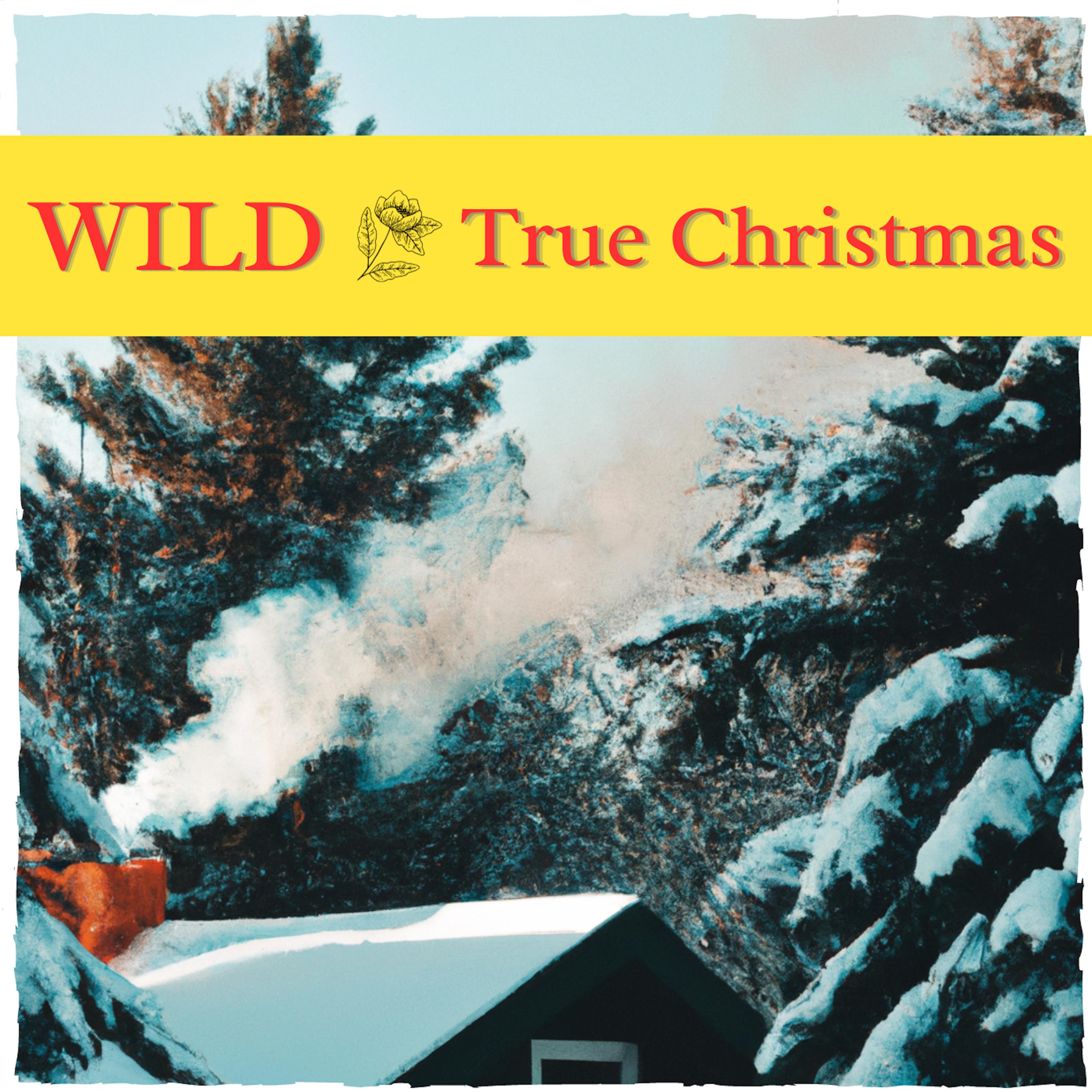 Постер альбома True Christmas