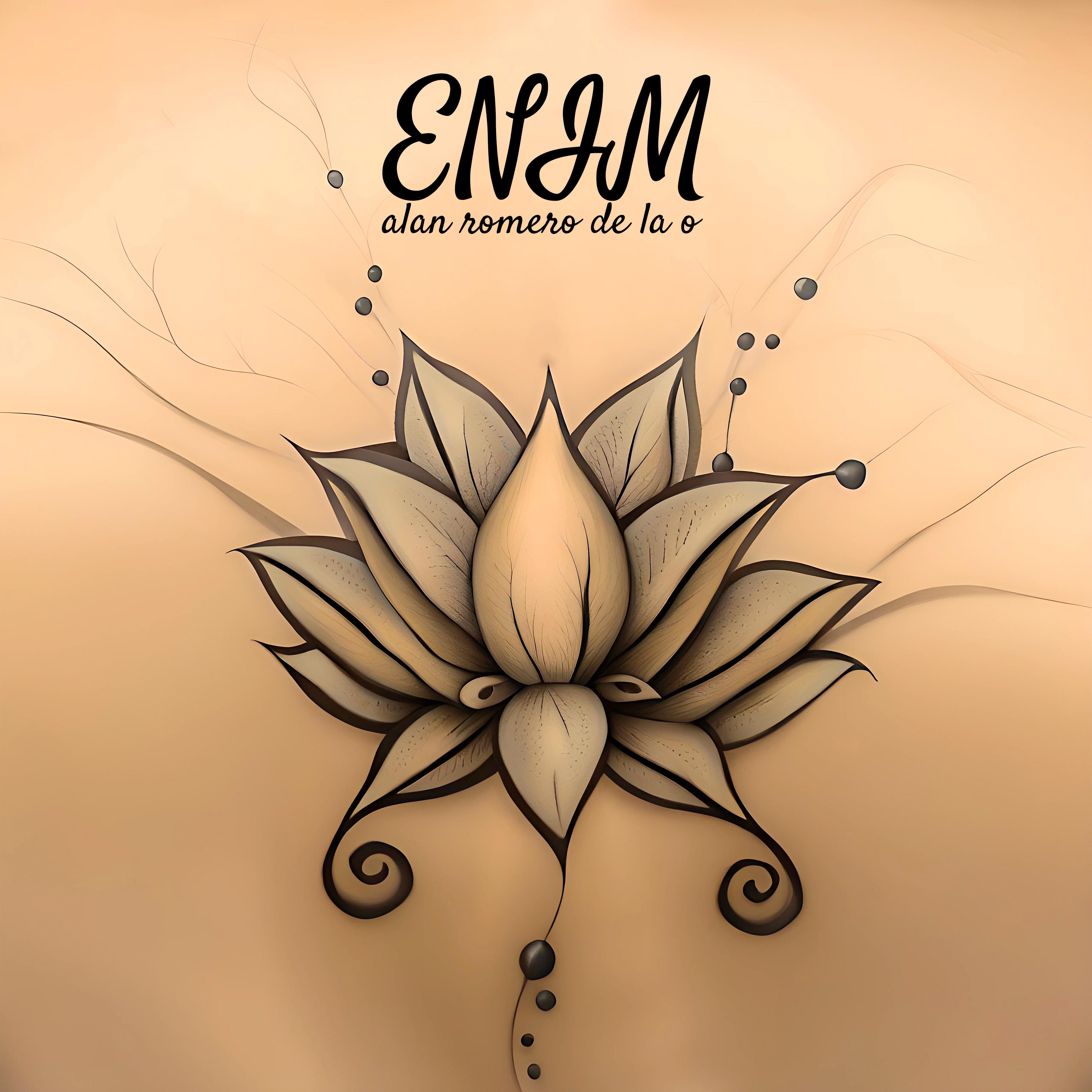 Постер альбома Enim