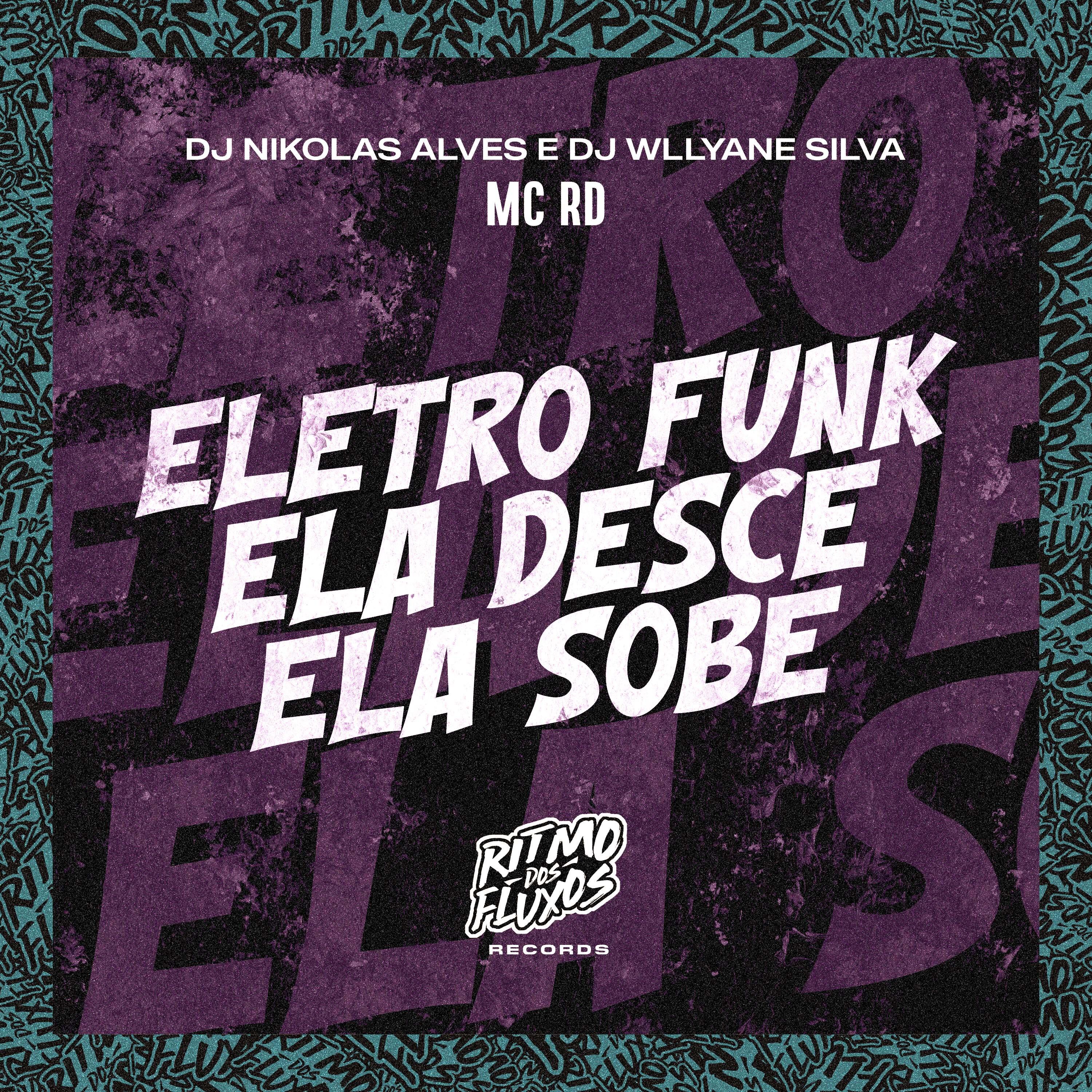 Постер альбома Eletro Funk Ela Desce Ela Sobe
