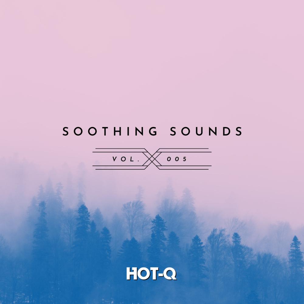 Постер альбома Soothing Sounds 005