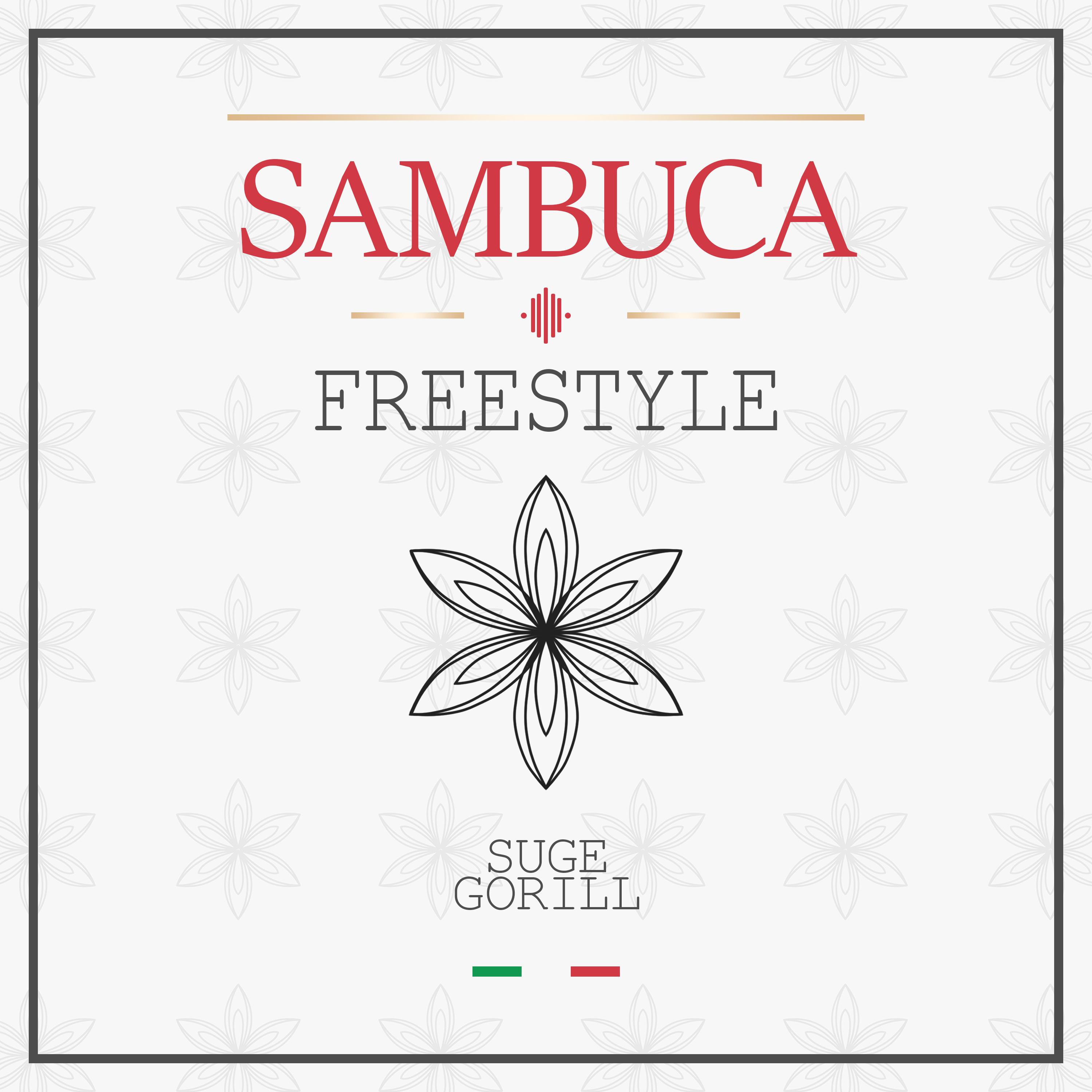 Постер альбома SAMBUCA FREESTYLE