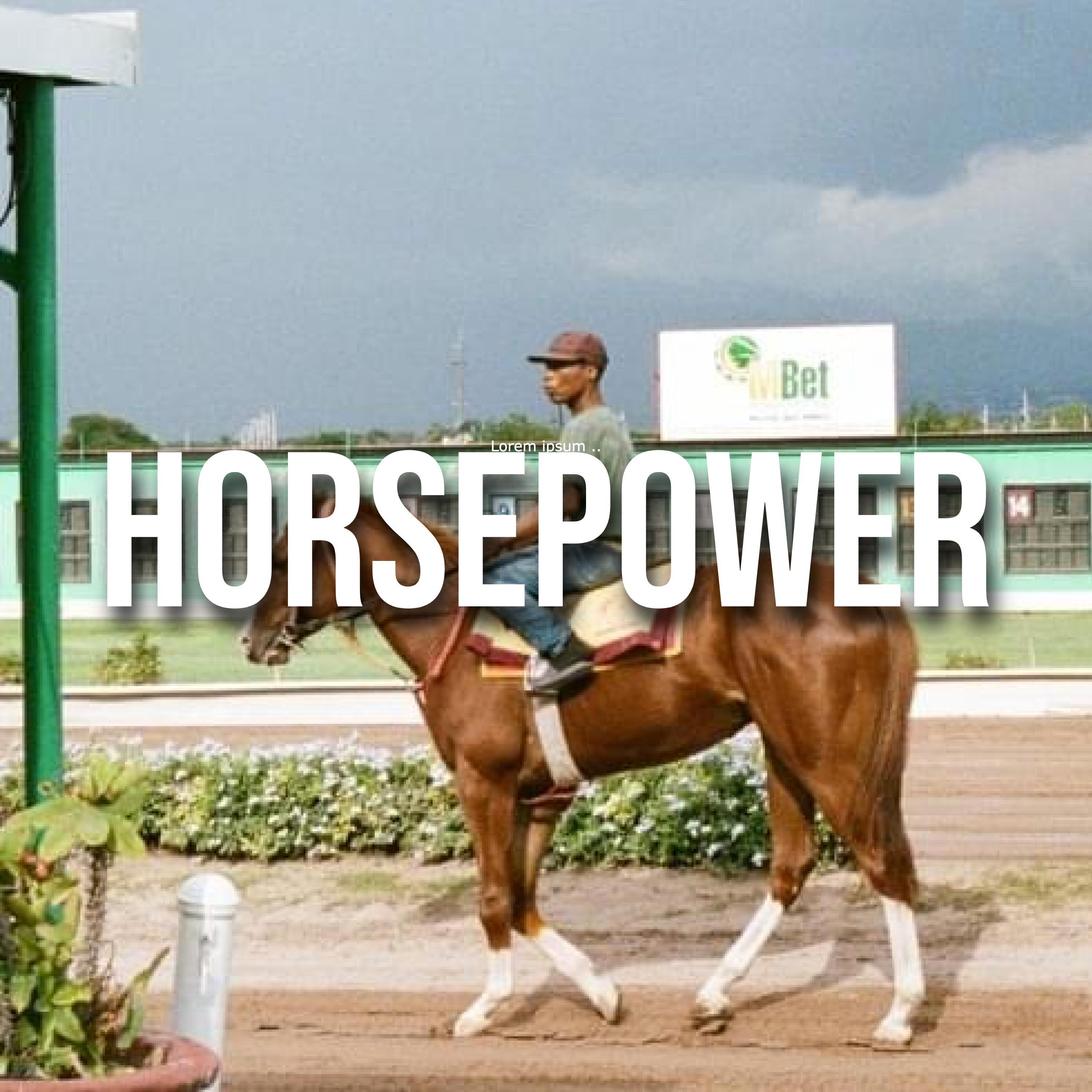 Постер альбома Horsepower (feat. caesar)