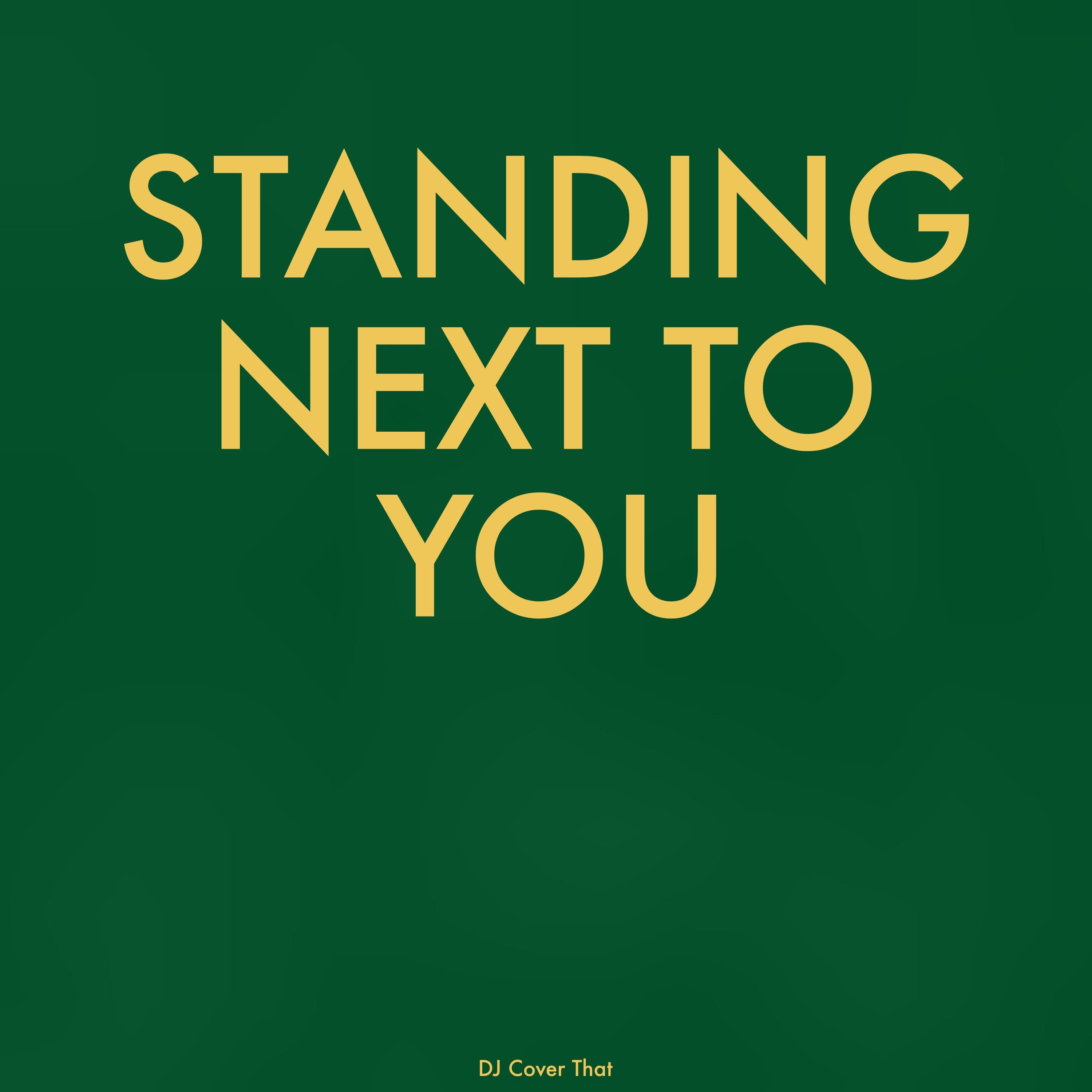 Постер альбома Standing Next to You