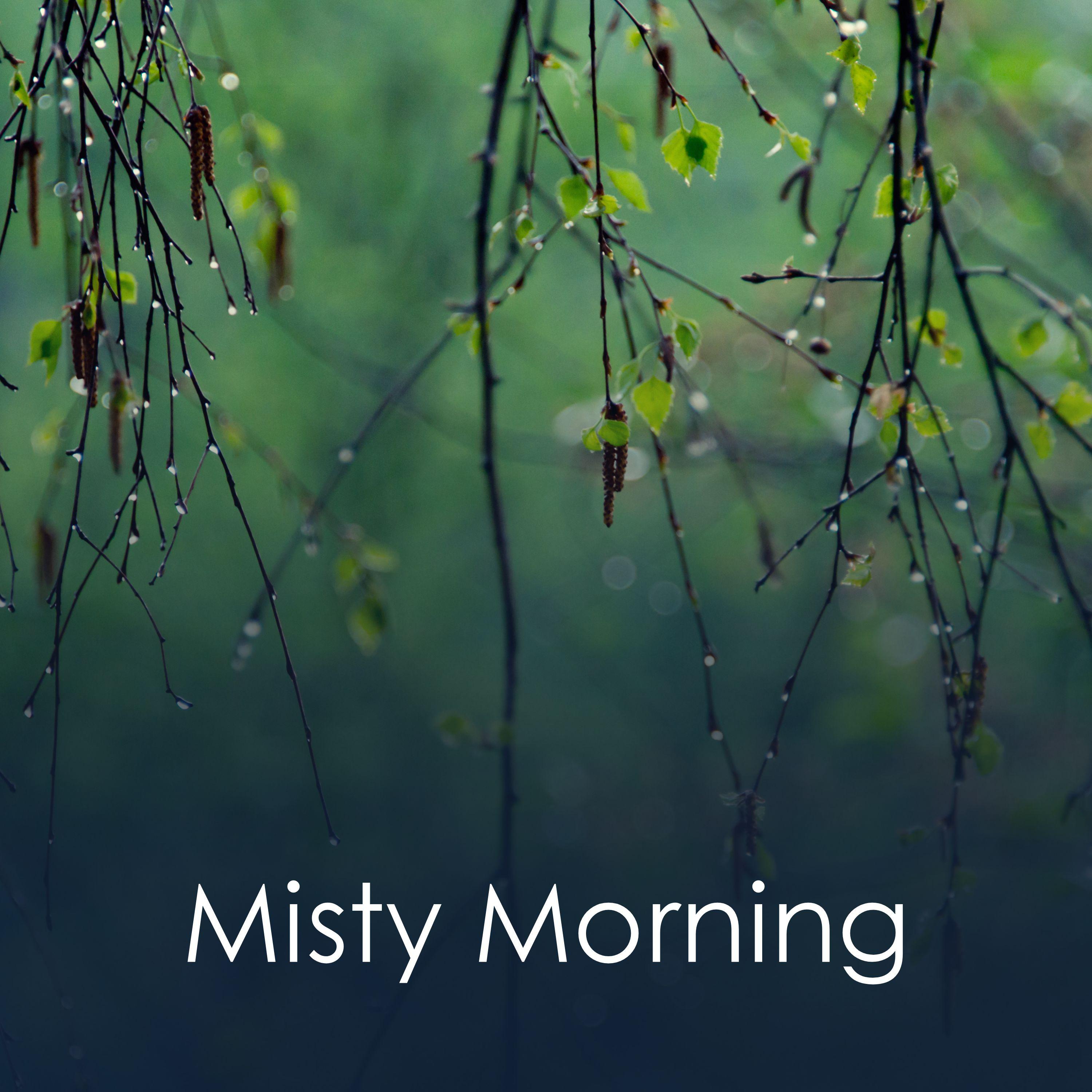 Постер альбома Misty Morning
