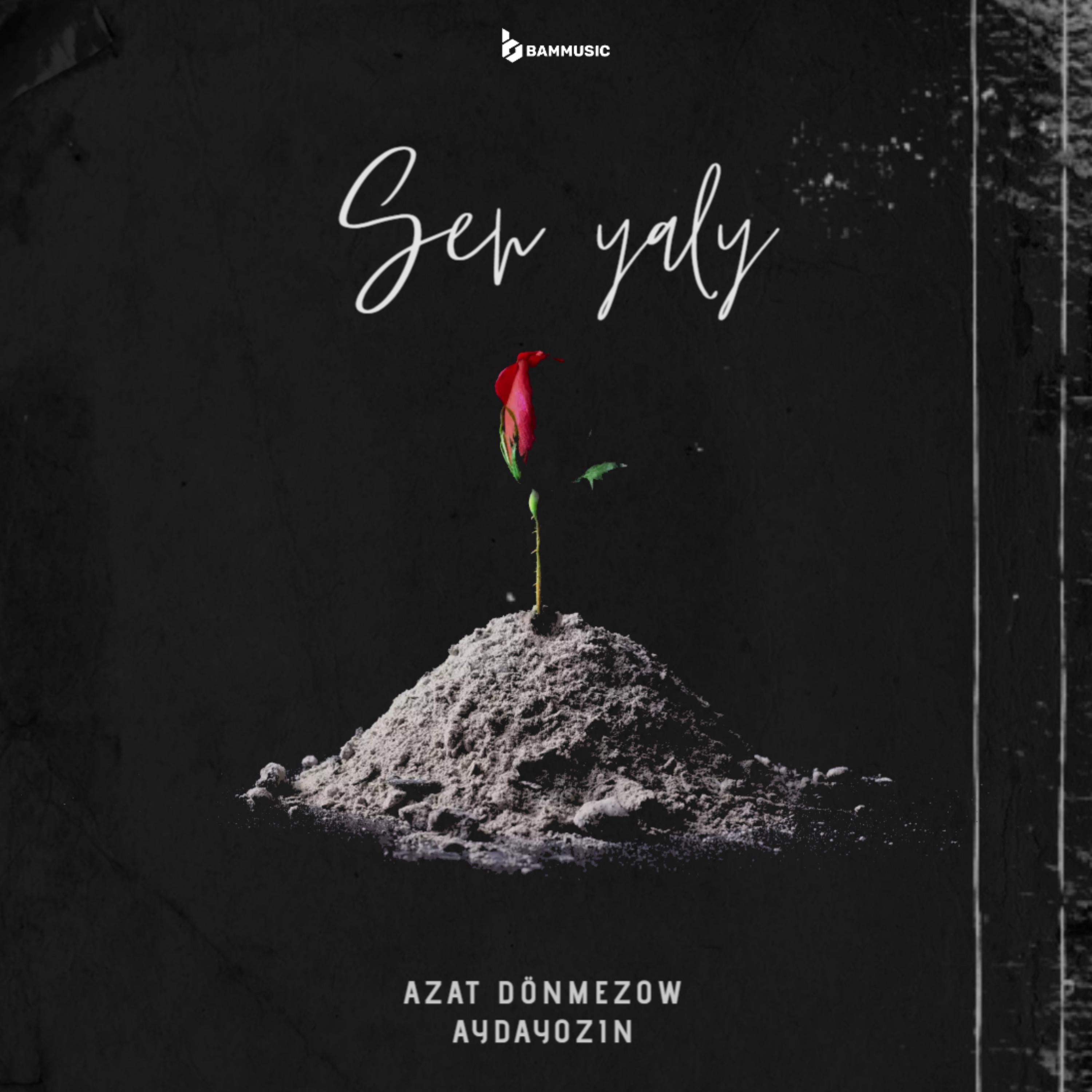 Постер альбома Seň Ýaly